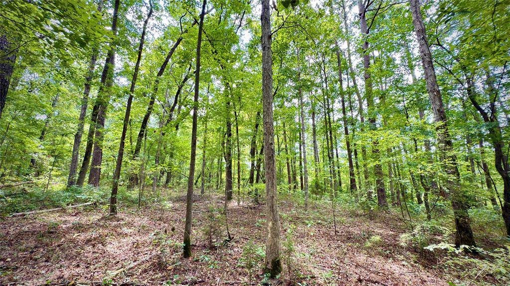 0 Winn School Road, Hosston, LA 71043