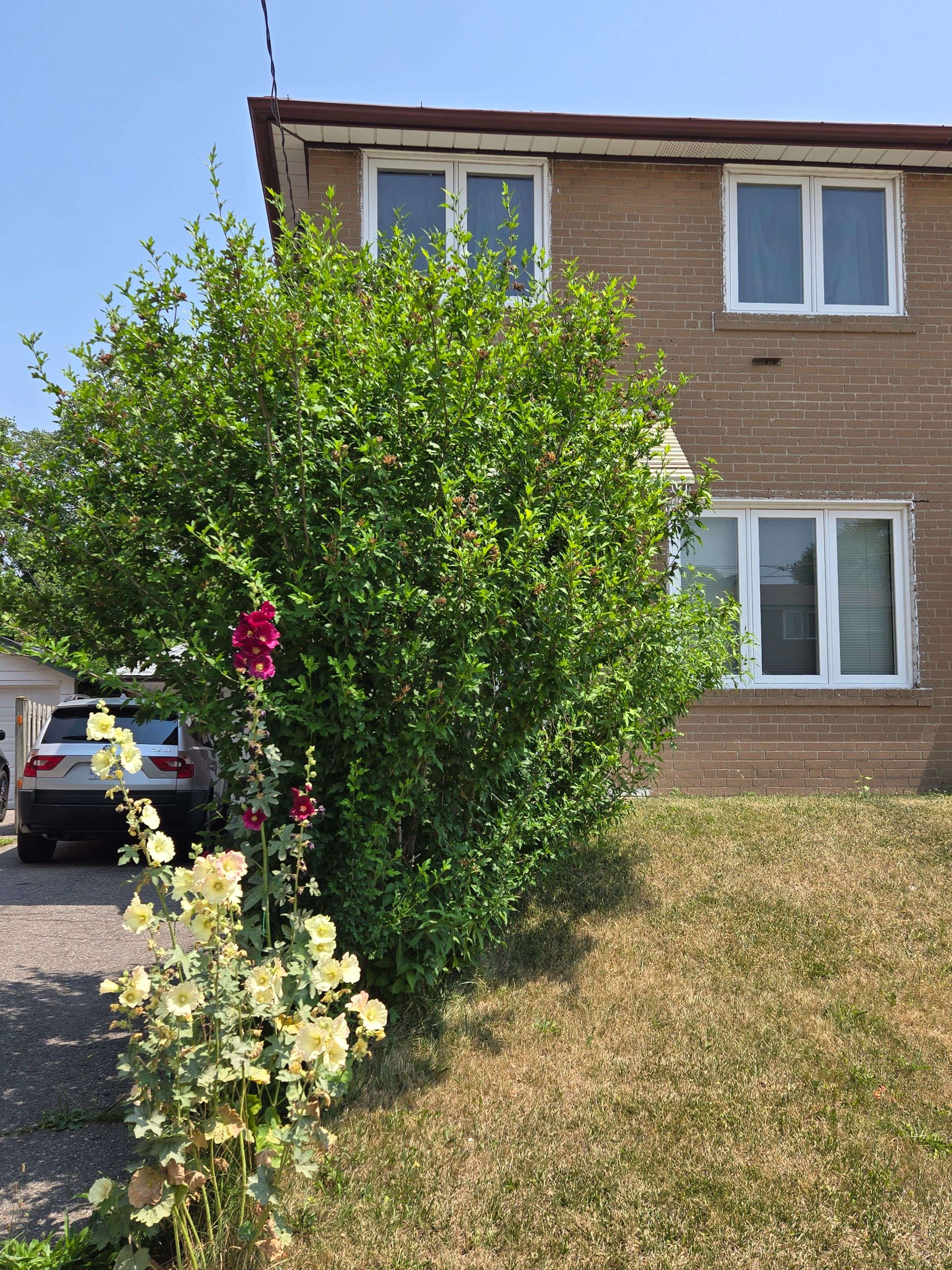 103 Bergen RD, Toronto E04, ON M1P 1S3