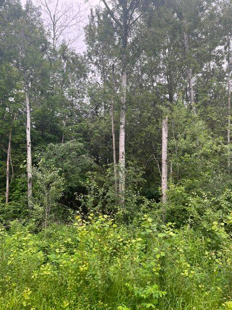 0 LILAC ROAD AT PIGEON LAKE ROAD N/A, Kawartha Lakes, ON K9V 4R3