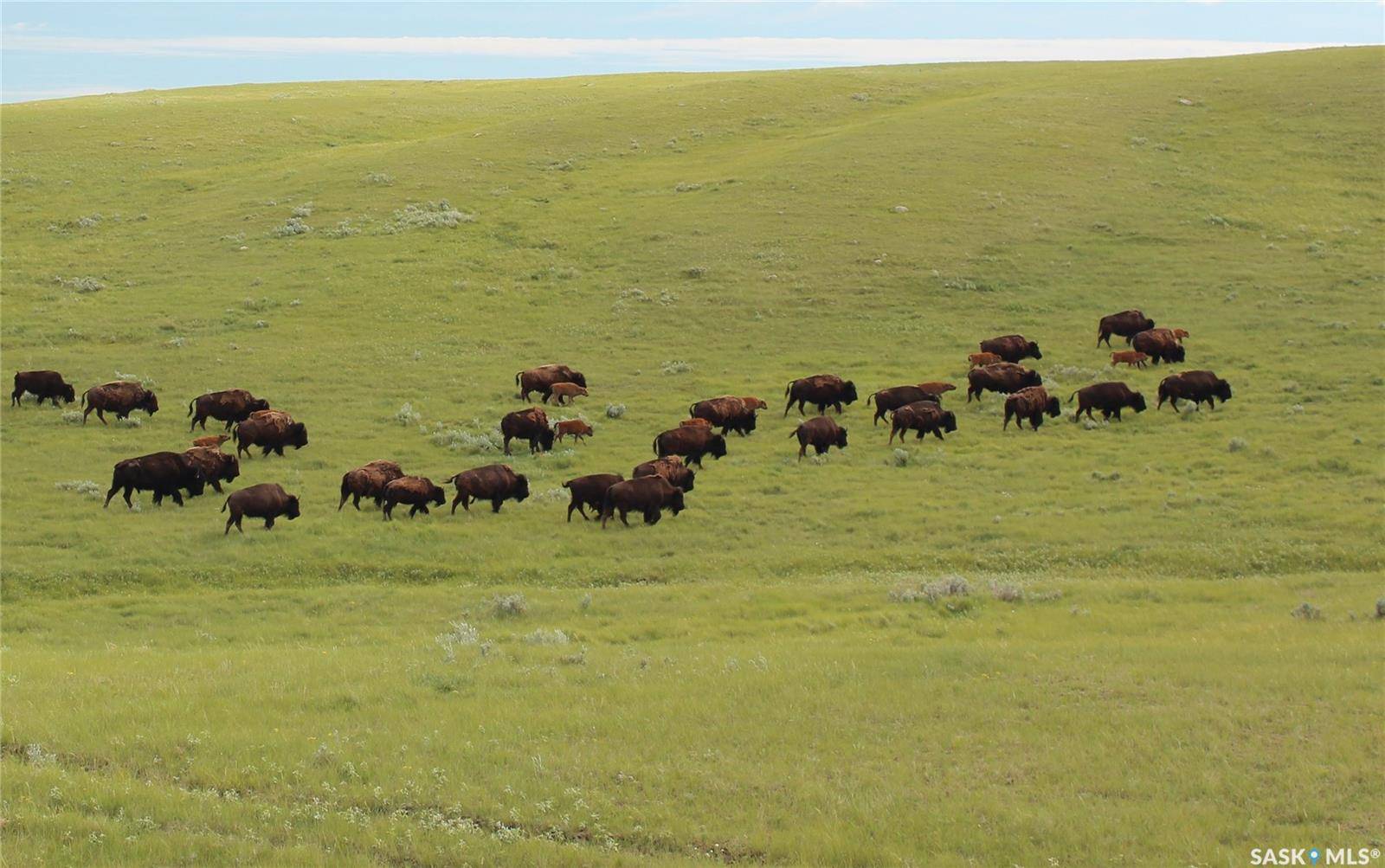 Rural Address, Wise Creek Rm No. 77, SK S0N 0B0