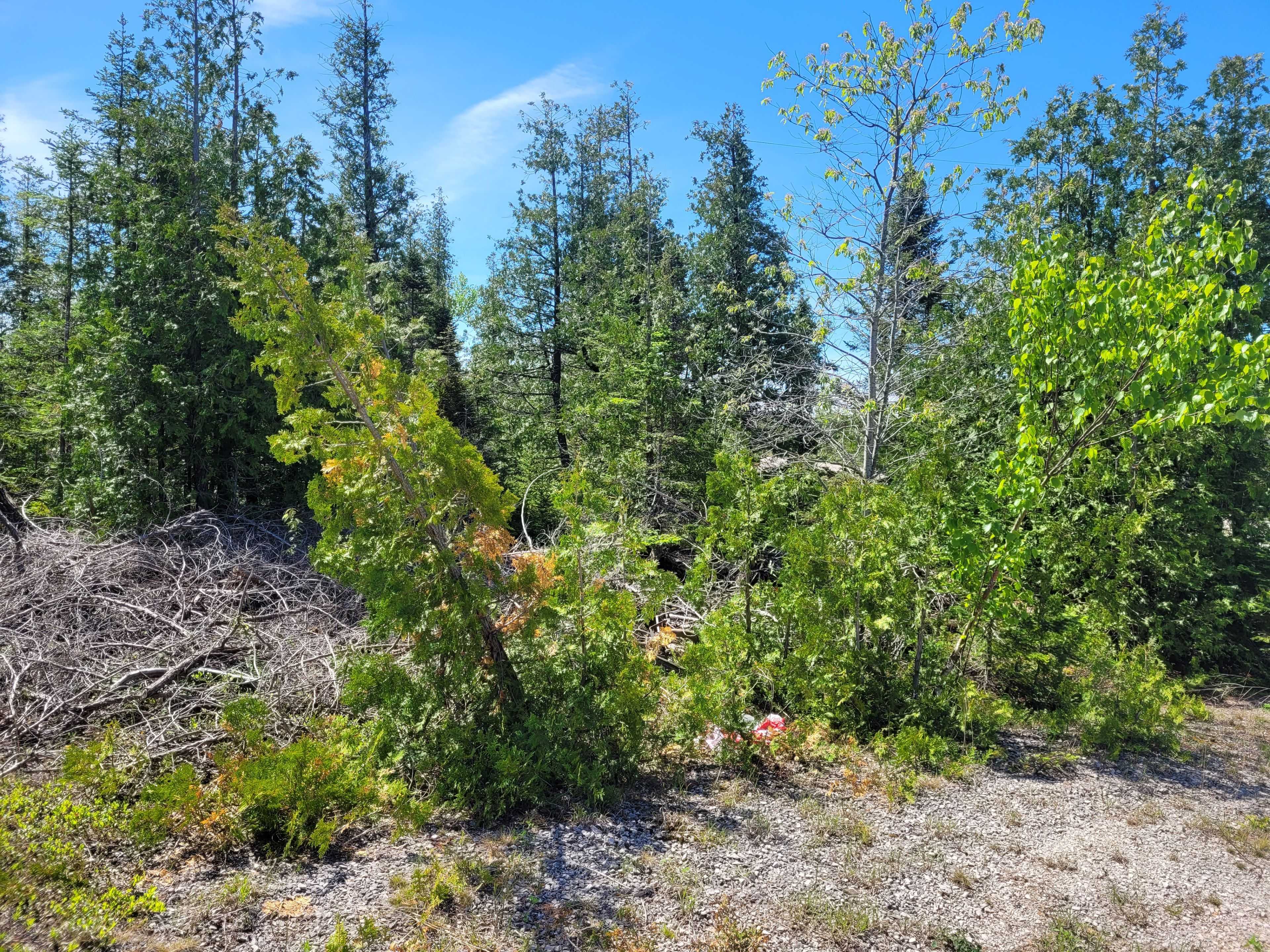 PT LOT 26 CON 8 WBR SADLER CREEK RD E, Northern Bruce Peninsula, ON N0H 1W0