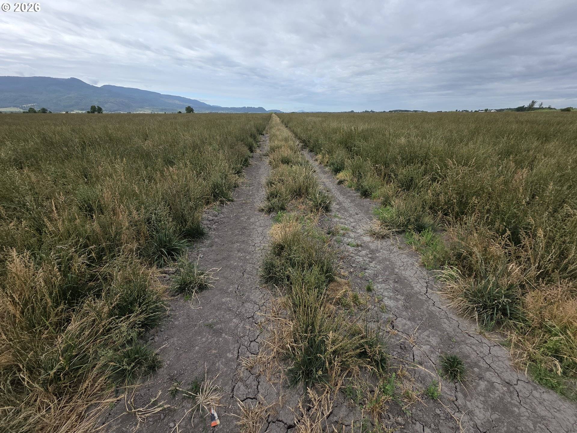 Diamond Hill Road, Harrisburg, OR 97446