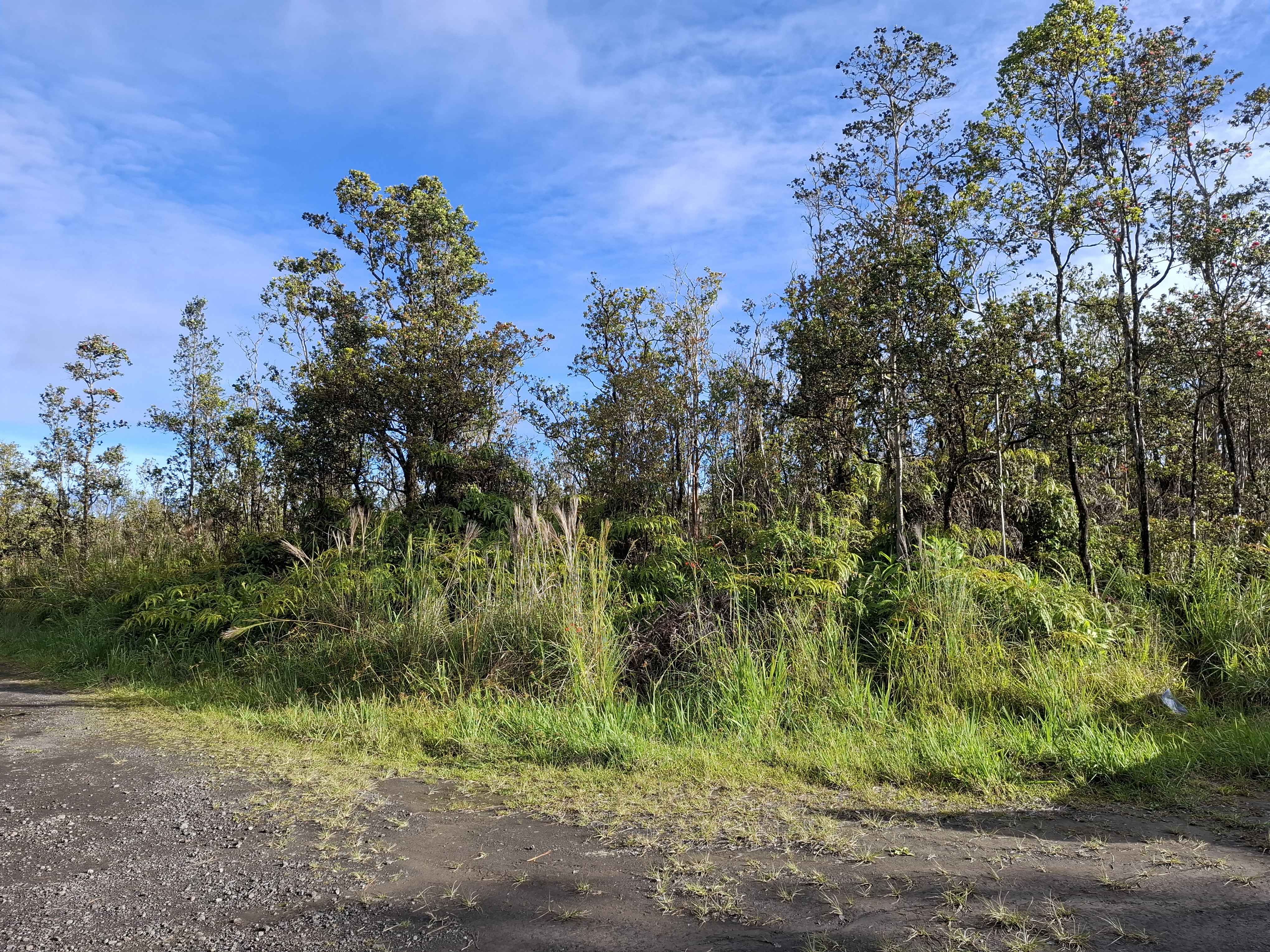NOE KUAHIWI RD, Volcano, HI 96785