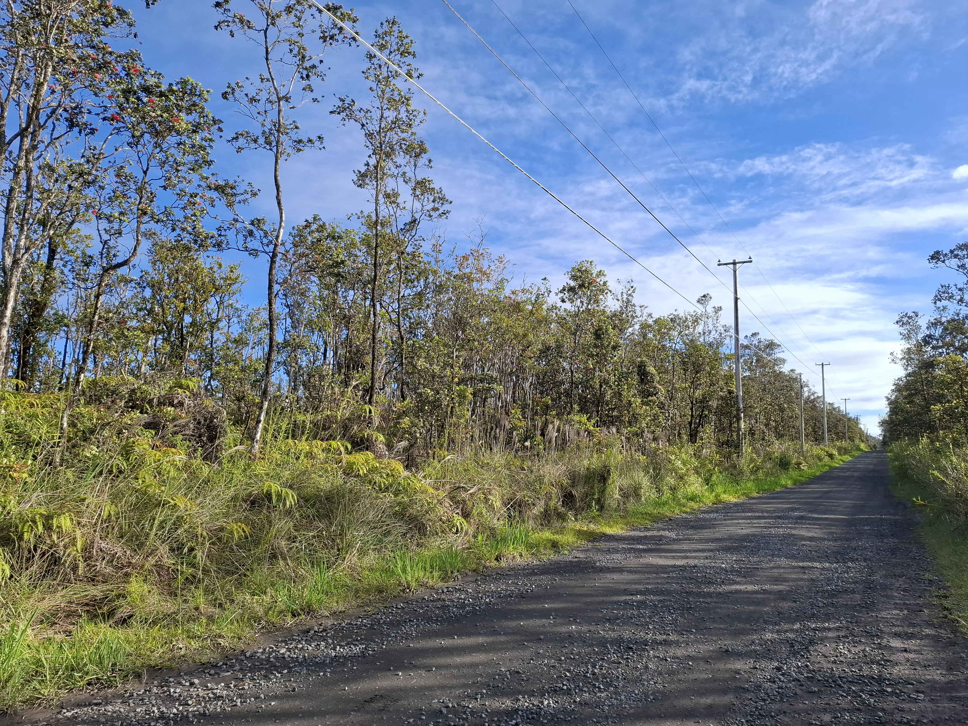 NOE KUAHIWI RD, Volcano, HI 96785