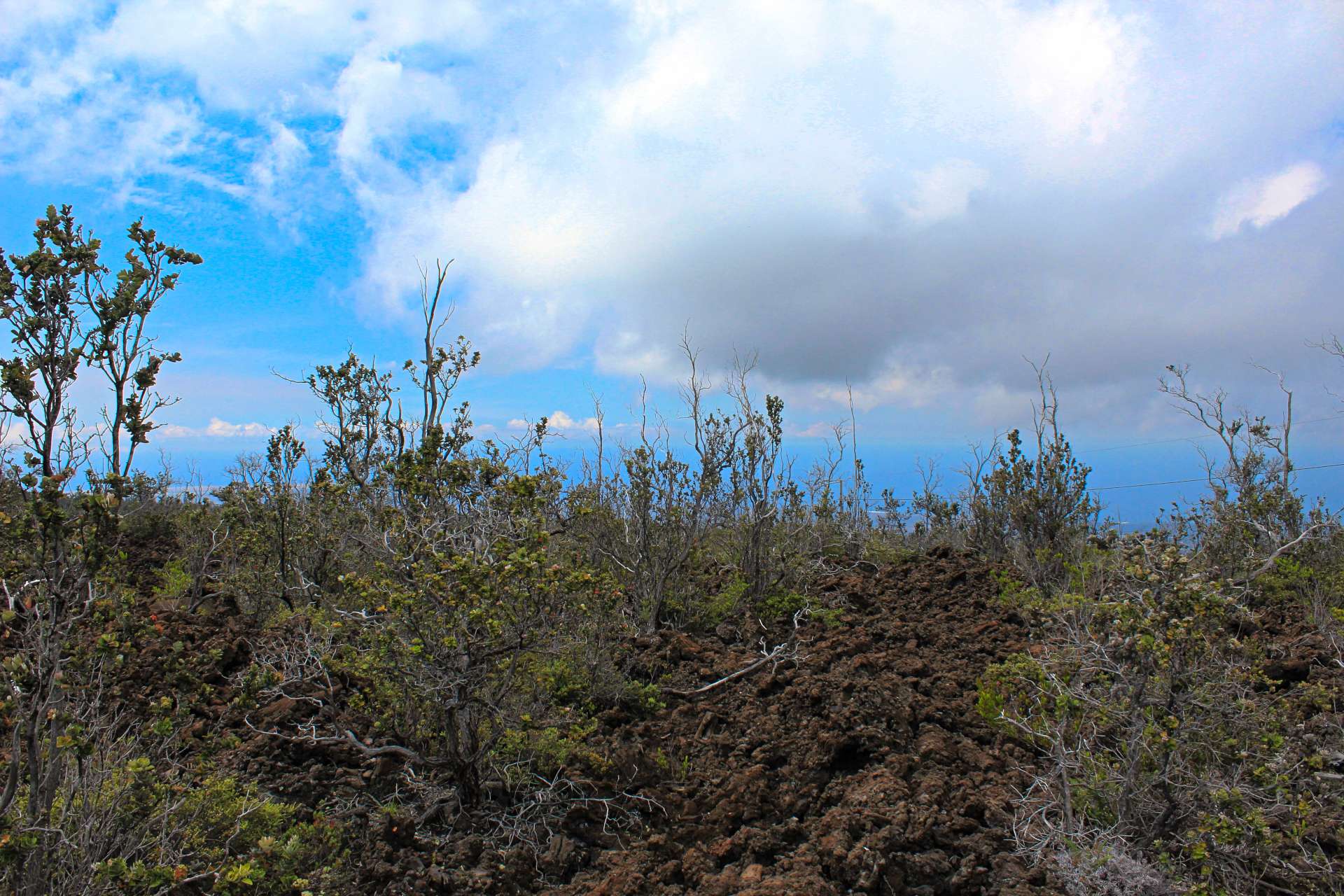 KOA LN, Ocean View, HI 96737