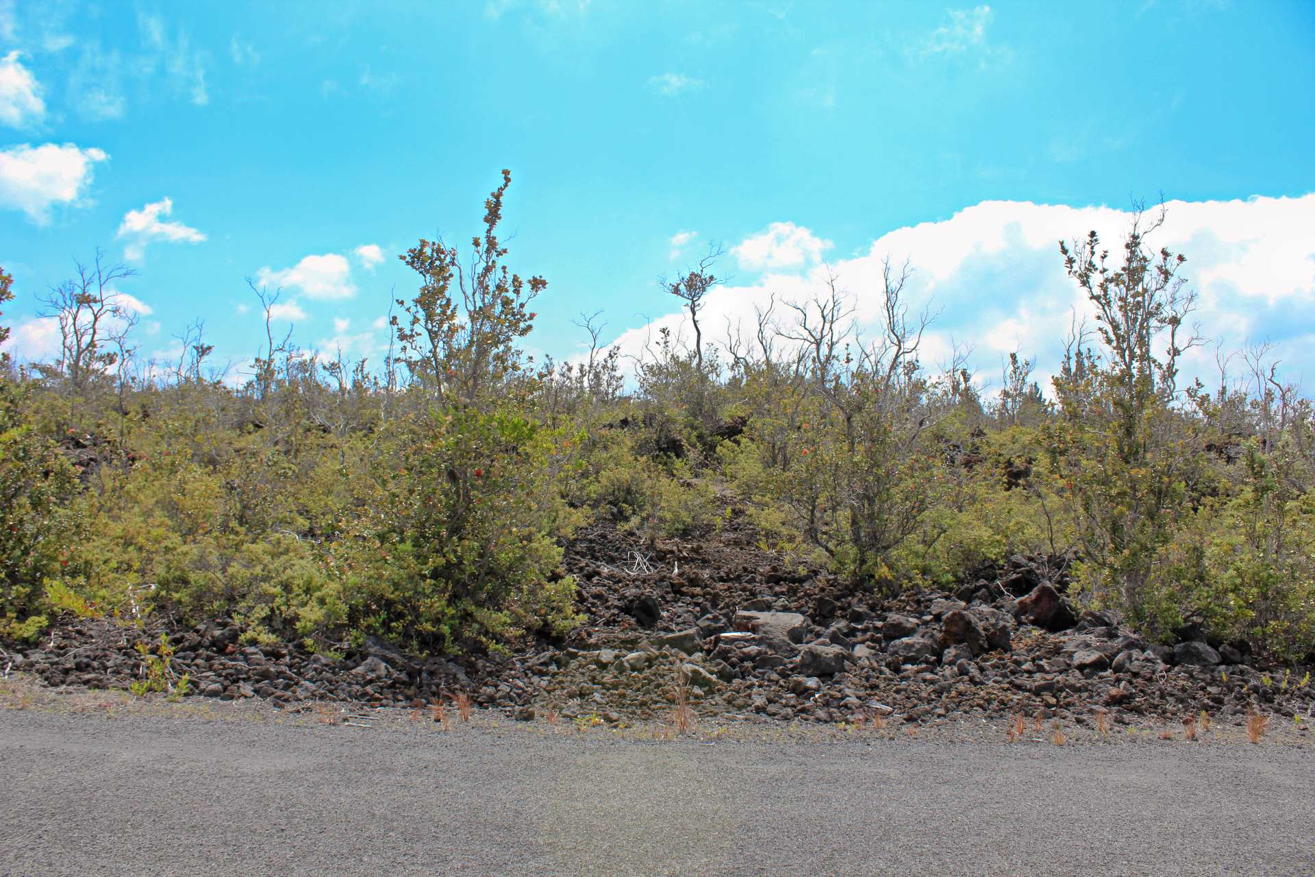 KOA LN, Ocean View, HI 96737