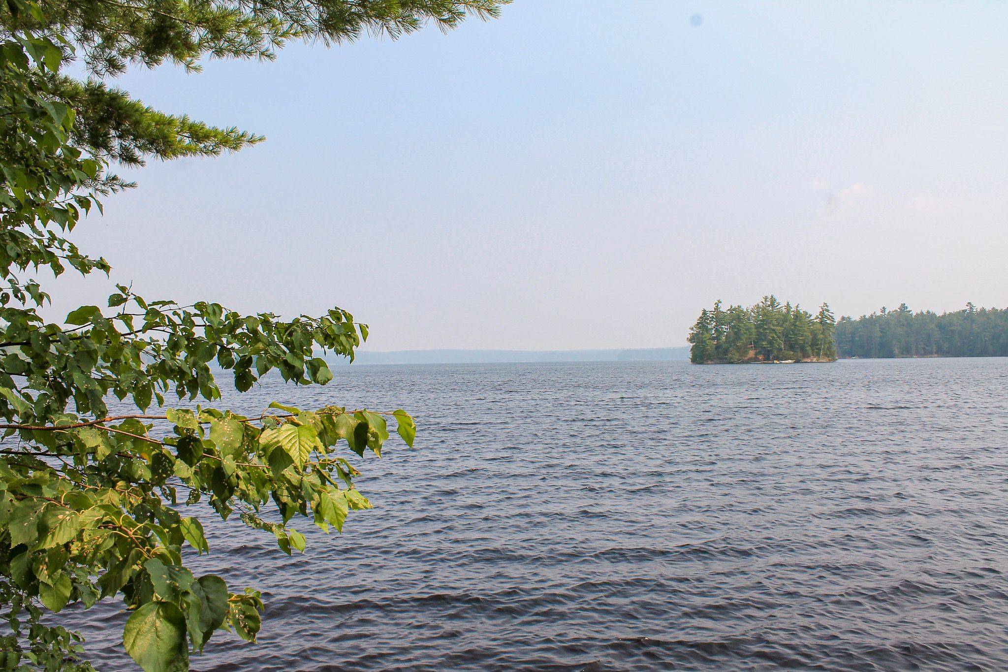 47 McKee AVE, Trent Lakes, ON K0L 1J0