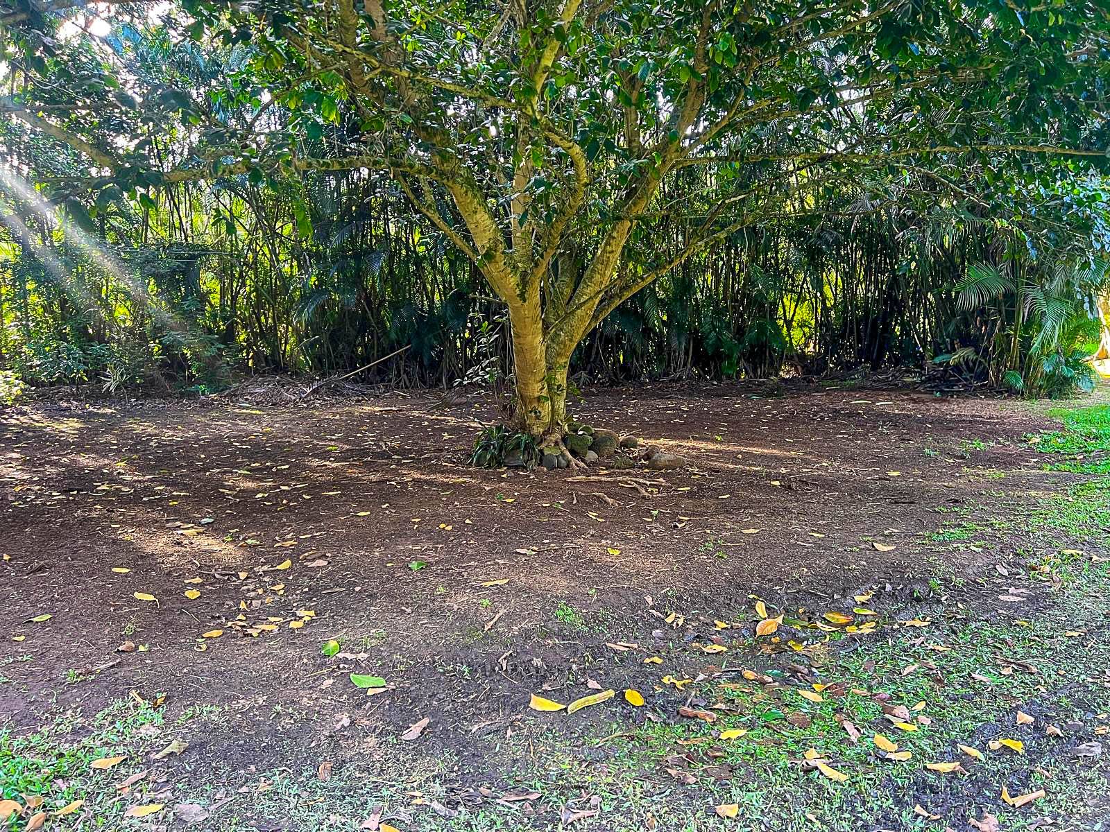 5-6671 KUHIO HWY, Hanalei, HI 96722