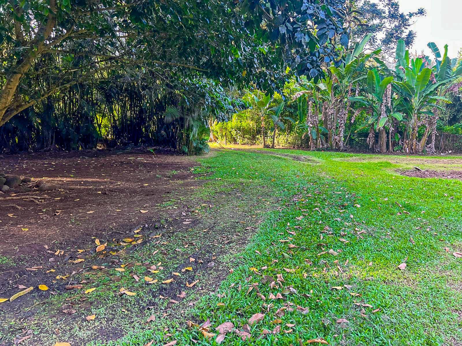 5-6671 KUHIO HWY, Hanalei, HI 96722