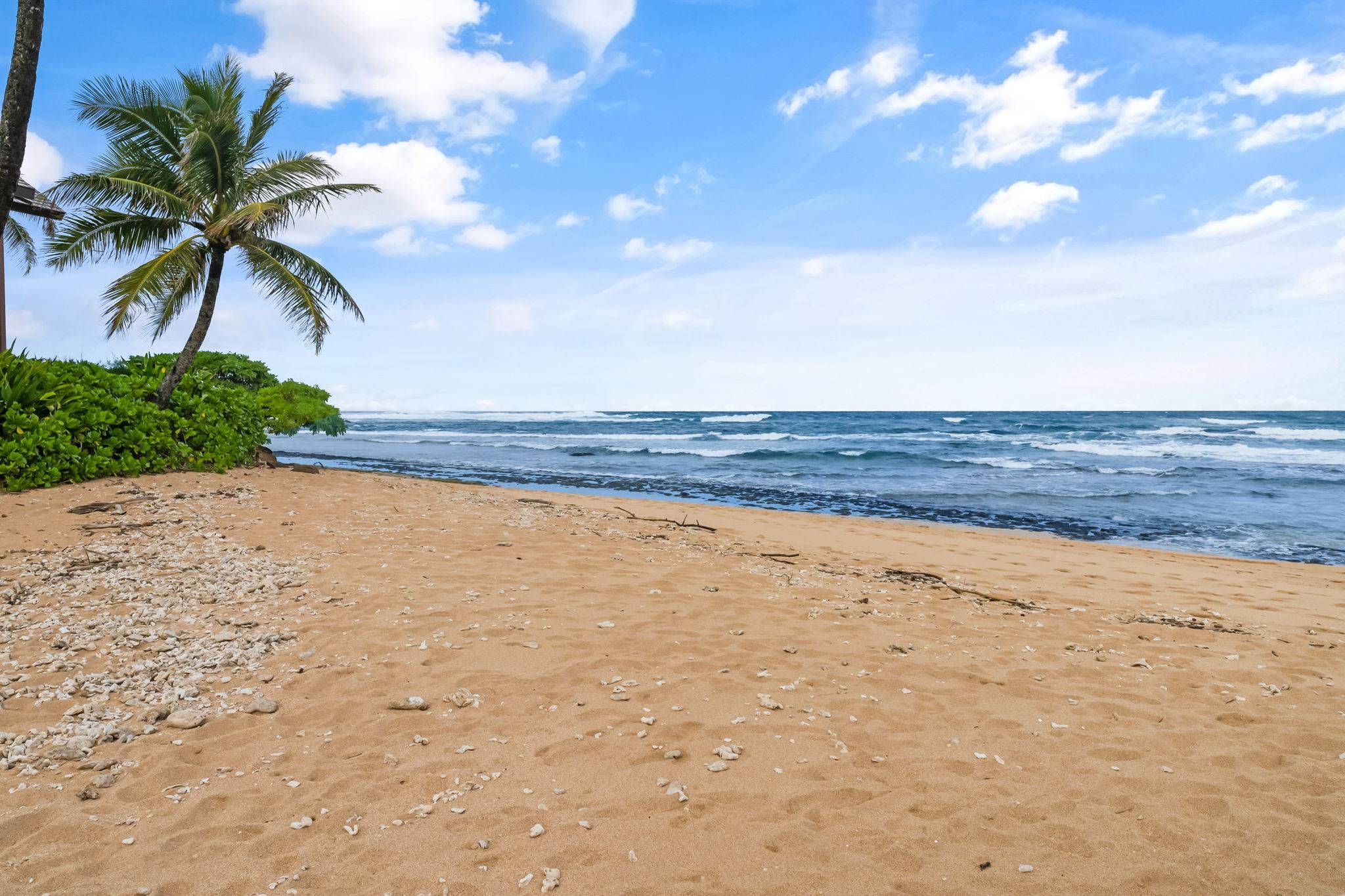 5-7130 KUHIO HWY #J3 June/July - # 4, Hanalei, HI 96722