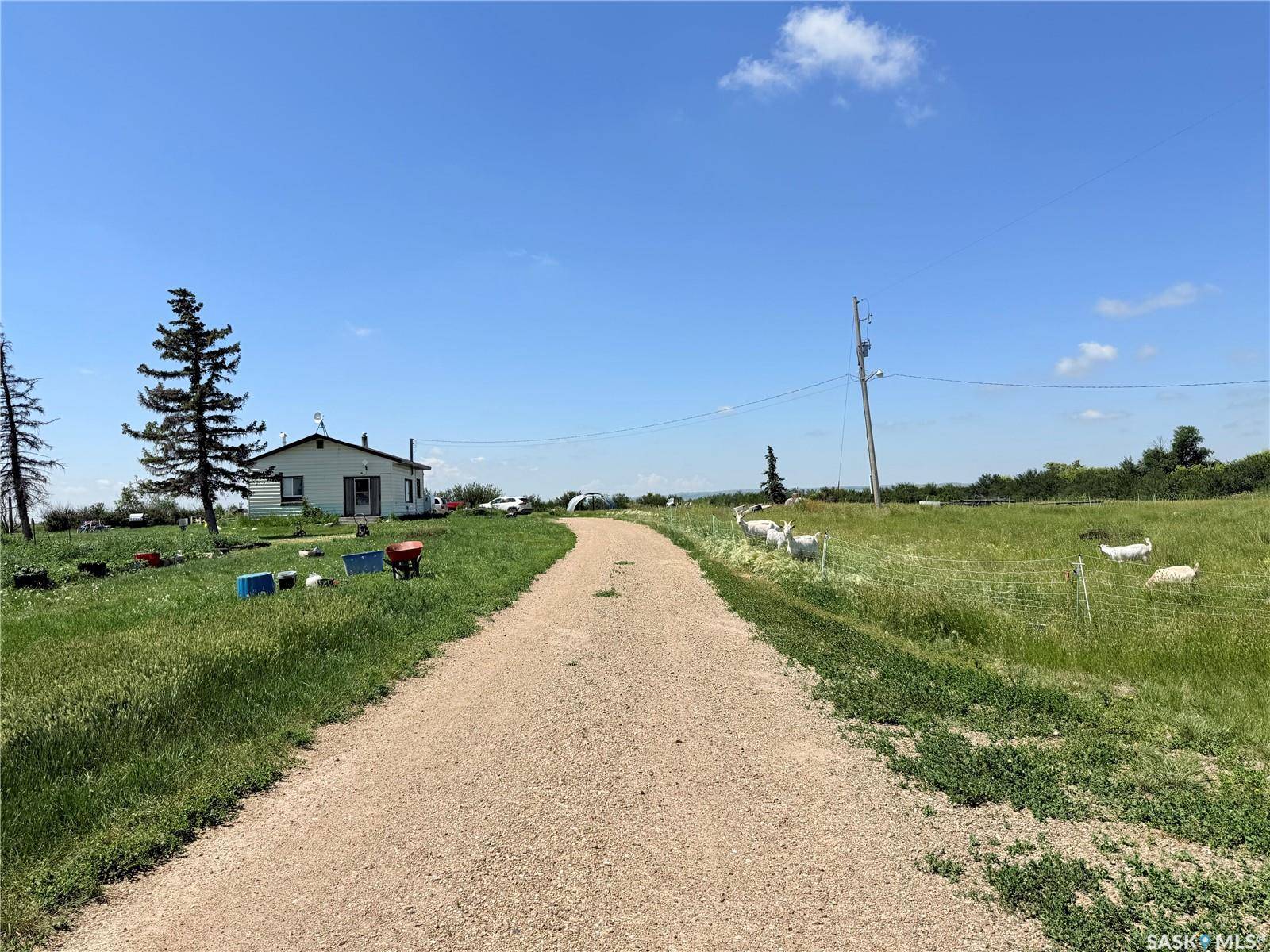Rural Address, Arlington Rm No. 79, SK S0N 2M0