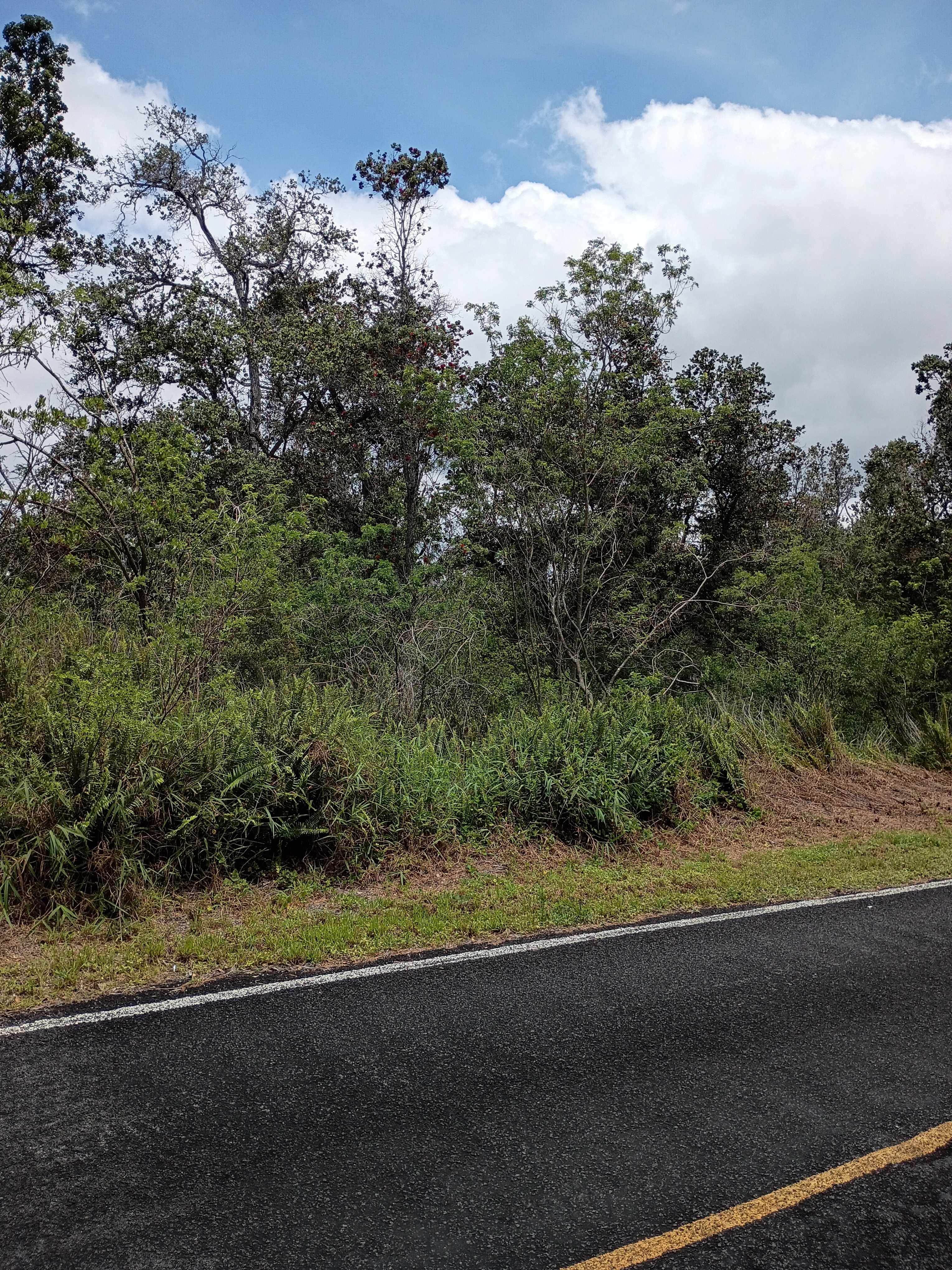 92-8633 CATAMARAN LN, Ocean View, HI 96737