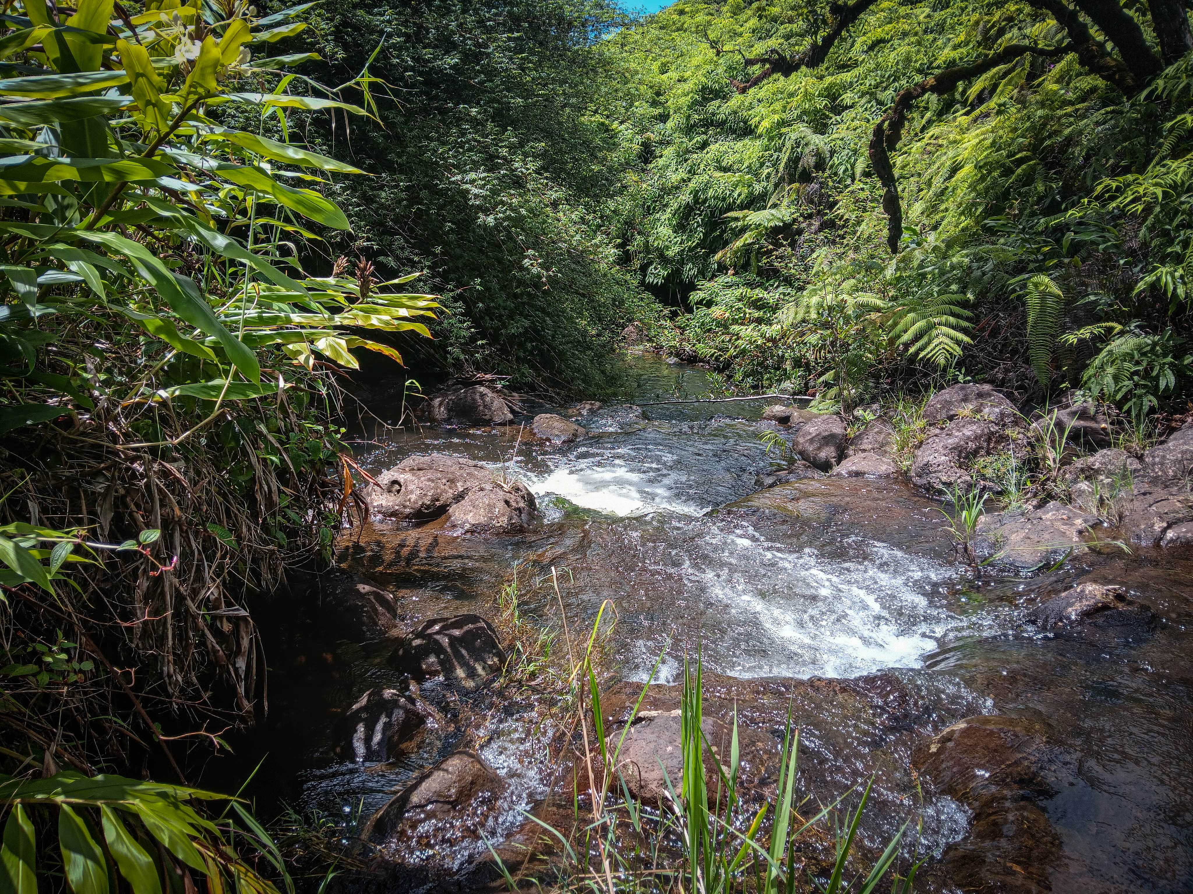 2883 KAIWIKI RD, Hilo, HI 96720
