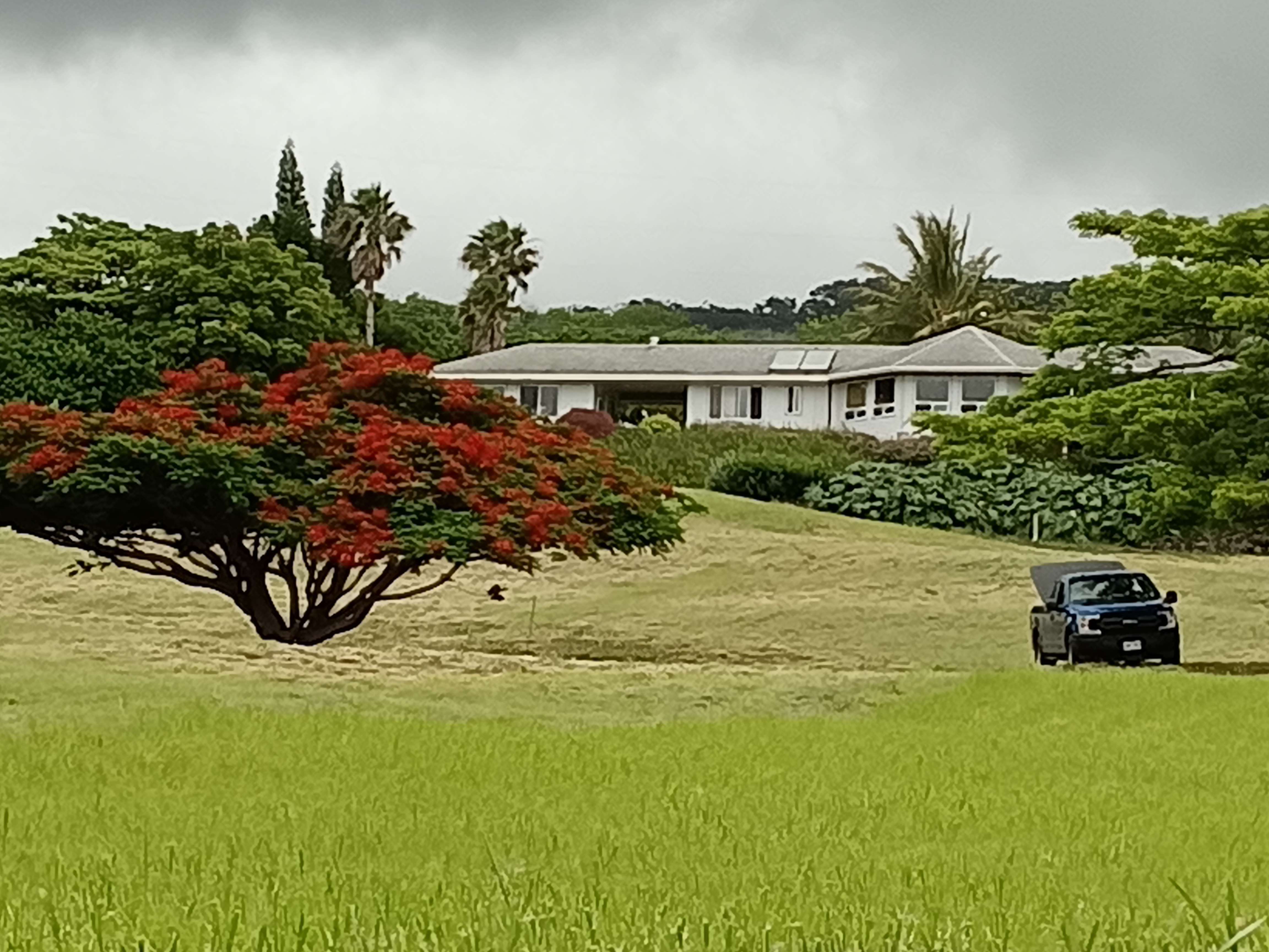 94-6311 KAMAOA RD, Naalehu, HI 96772