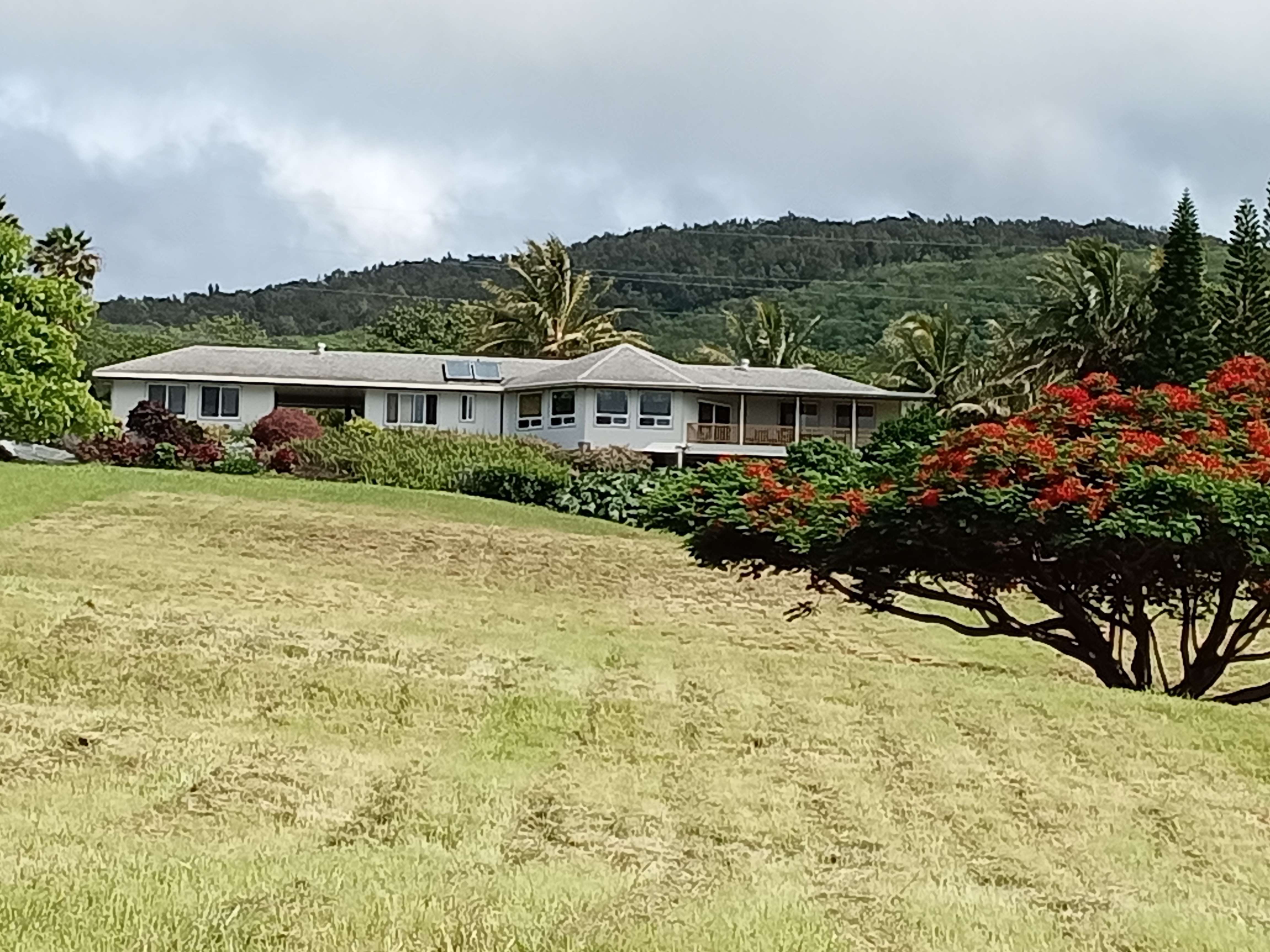 94-6311 KAMAOA RD, Naalehu, HI 96772