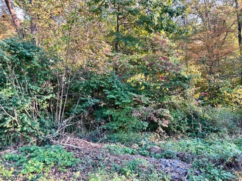 9 Old Woodland Trl, Jefferson Twp., NJ 07438