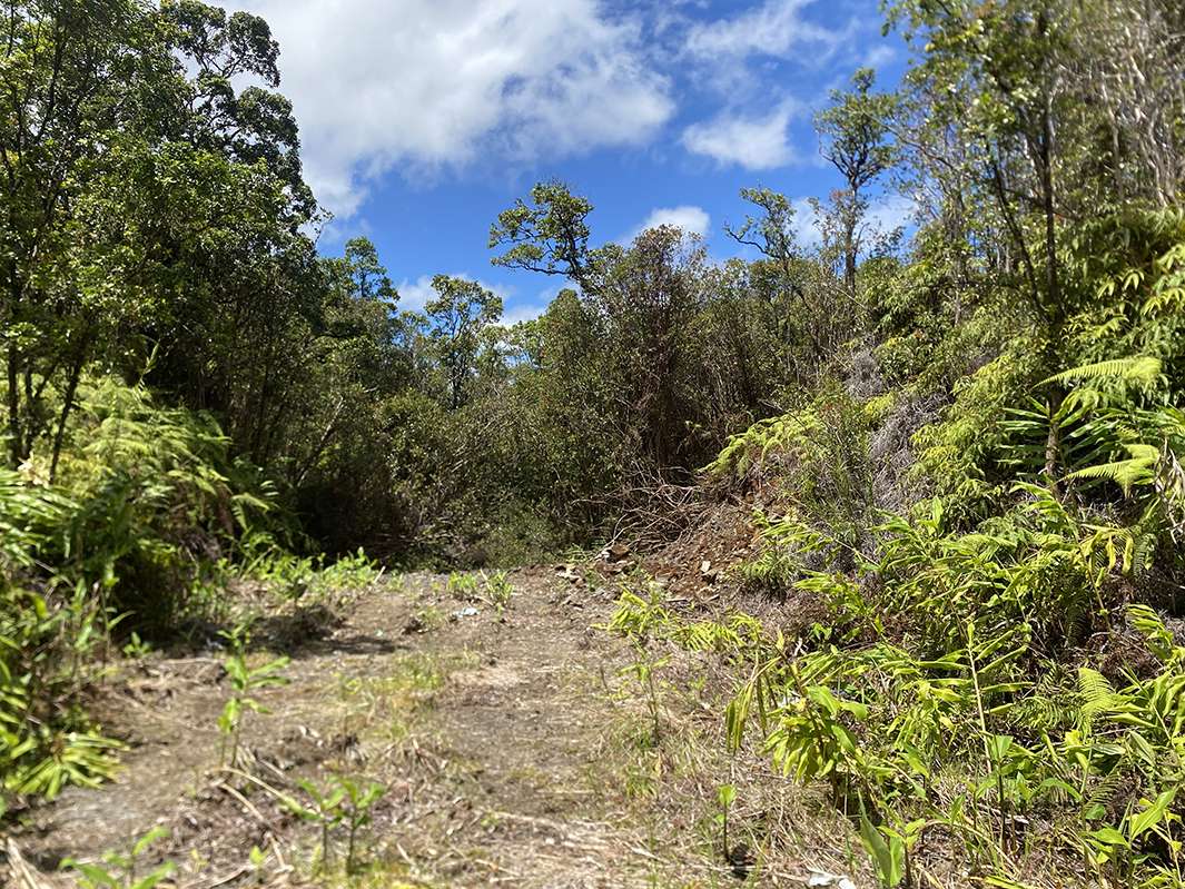 ROAD 10, Mountain View, HI 96771