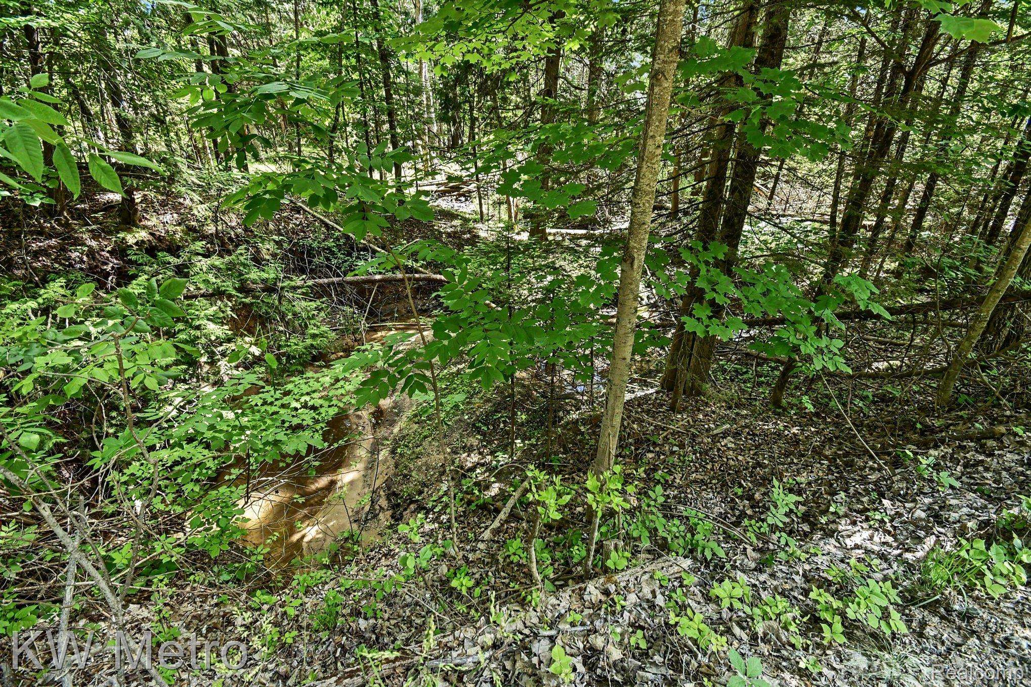 N/A Franklin TRL, Deep River Township, MI 48749
