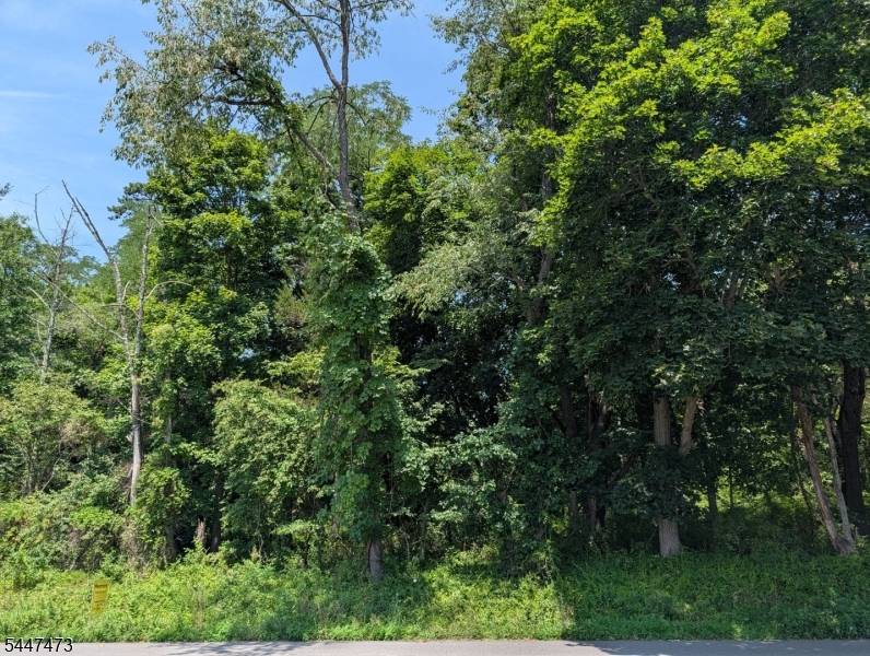 58 Allerton Rd, Clinton Twp., NJ 08833