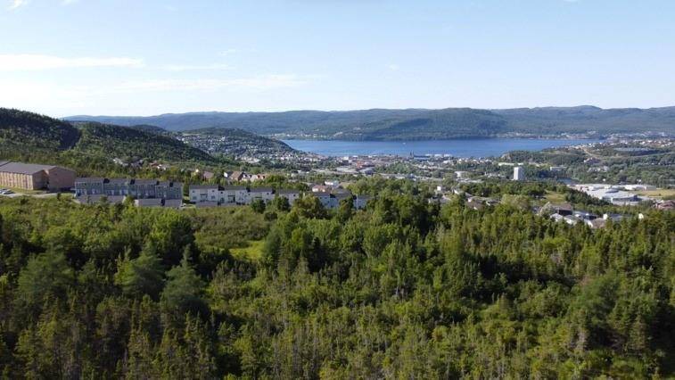 120 Elizabeth Street #PARCEL 045, Corner Brook, NL A2H 6A1