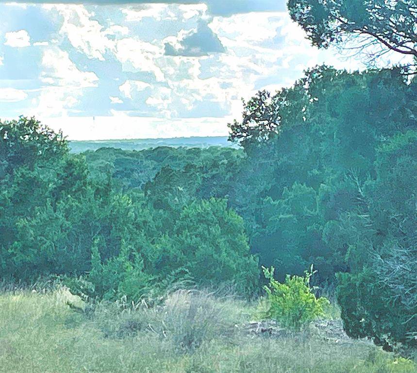 TBD Lot 16 Ph 5, Evant, TX 76525