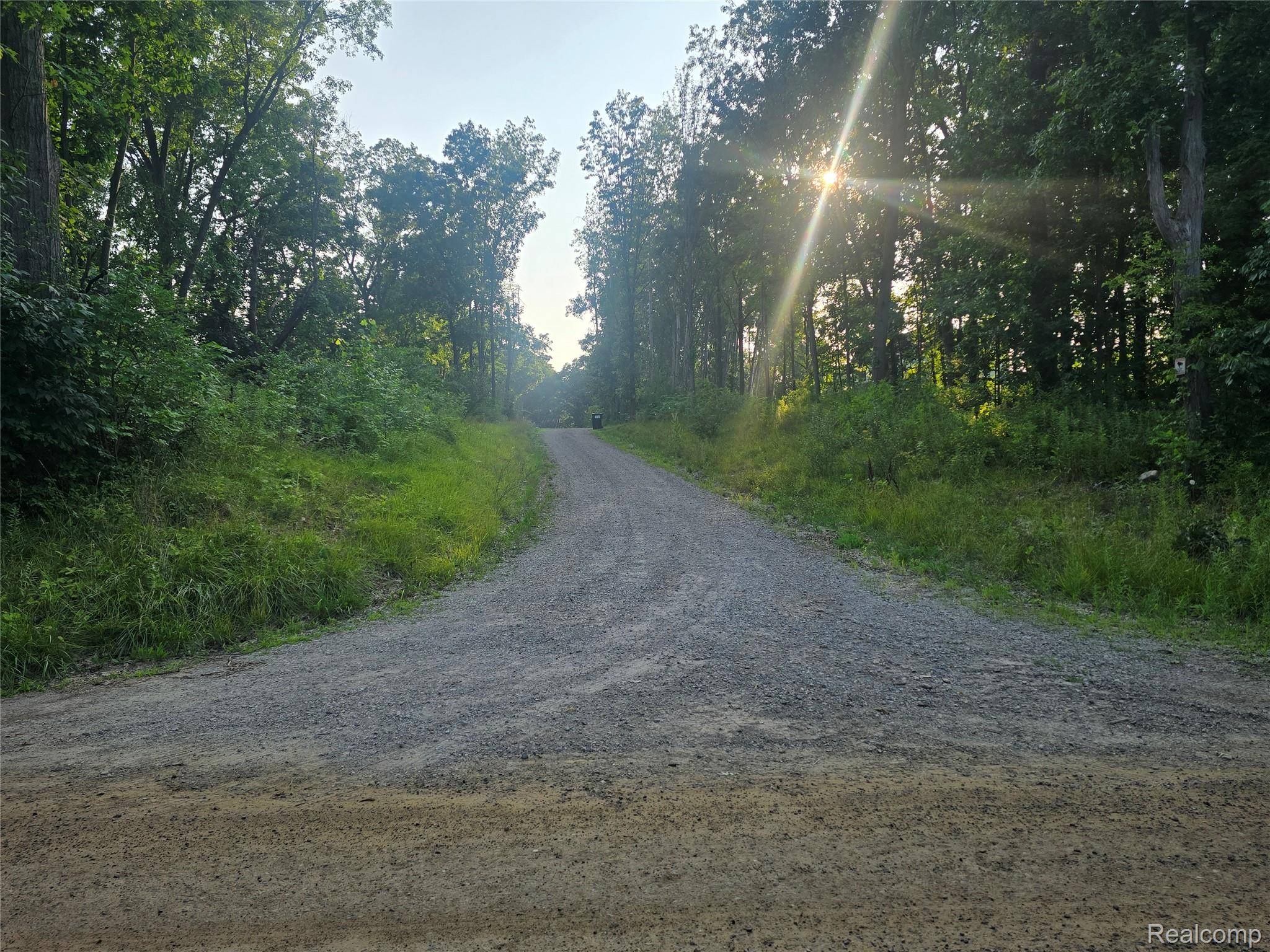 0 N Hughes RD, Oceola Township, MI 48843