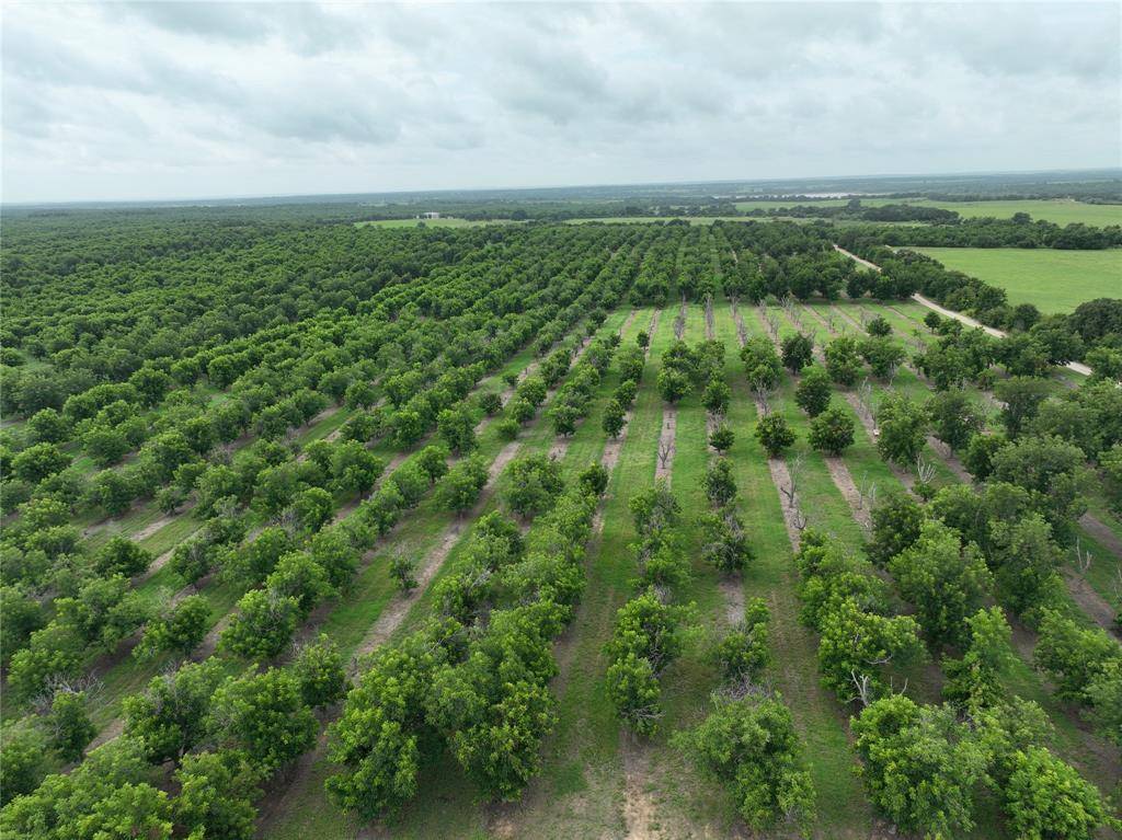 TBD CR 424, Comanche, TX 76442