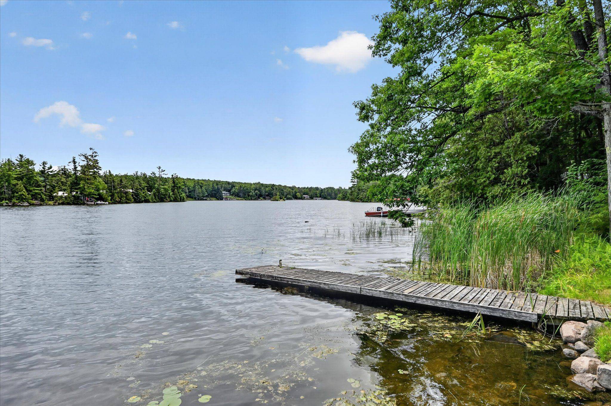 442 Island 7 Stoney Lake N/A, Douro-dummer, ON K0L 2H0