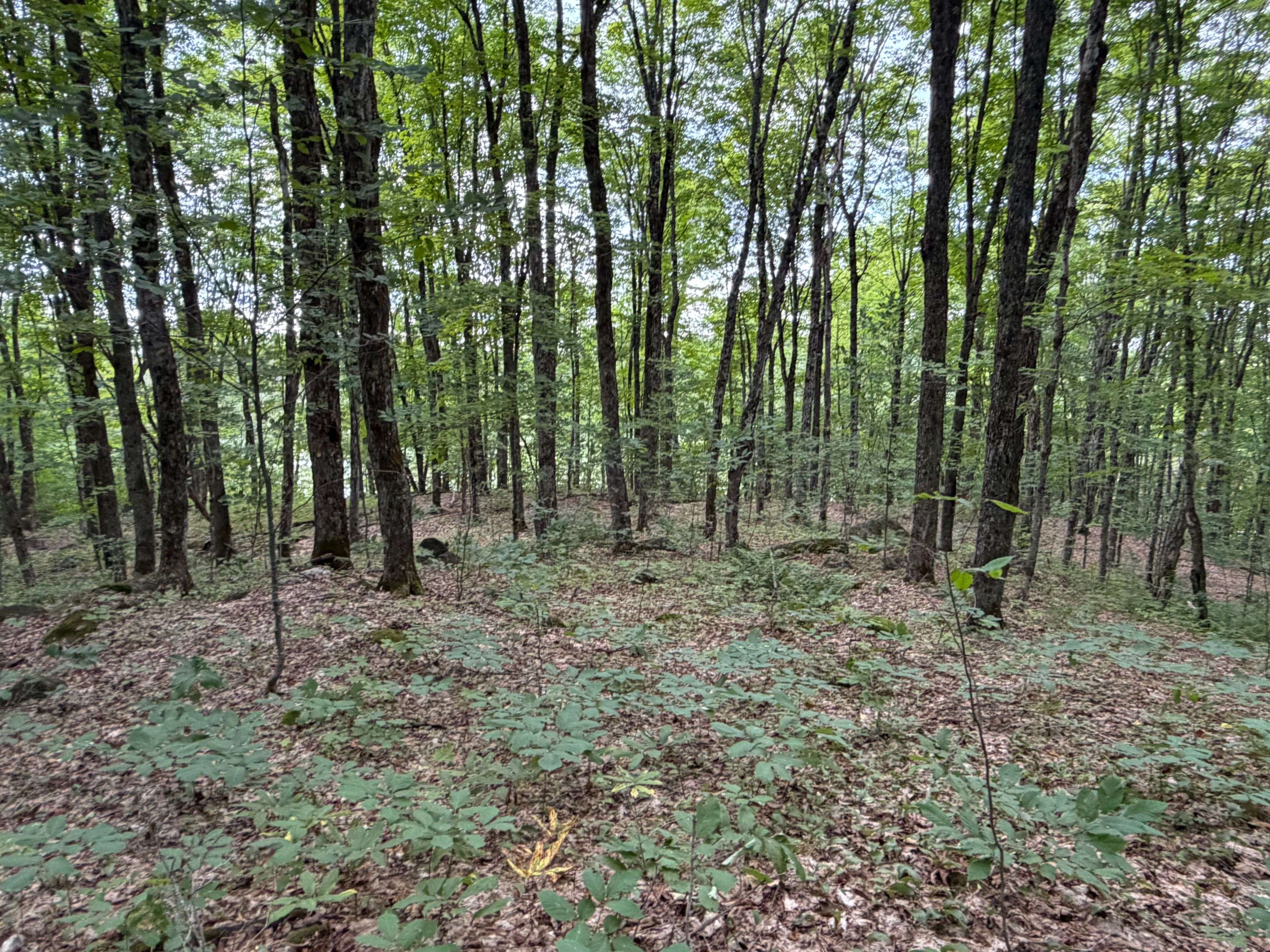 Part Lot 11 & 12 Chikopi RD, Magnetawan, ON P0A 1P0