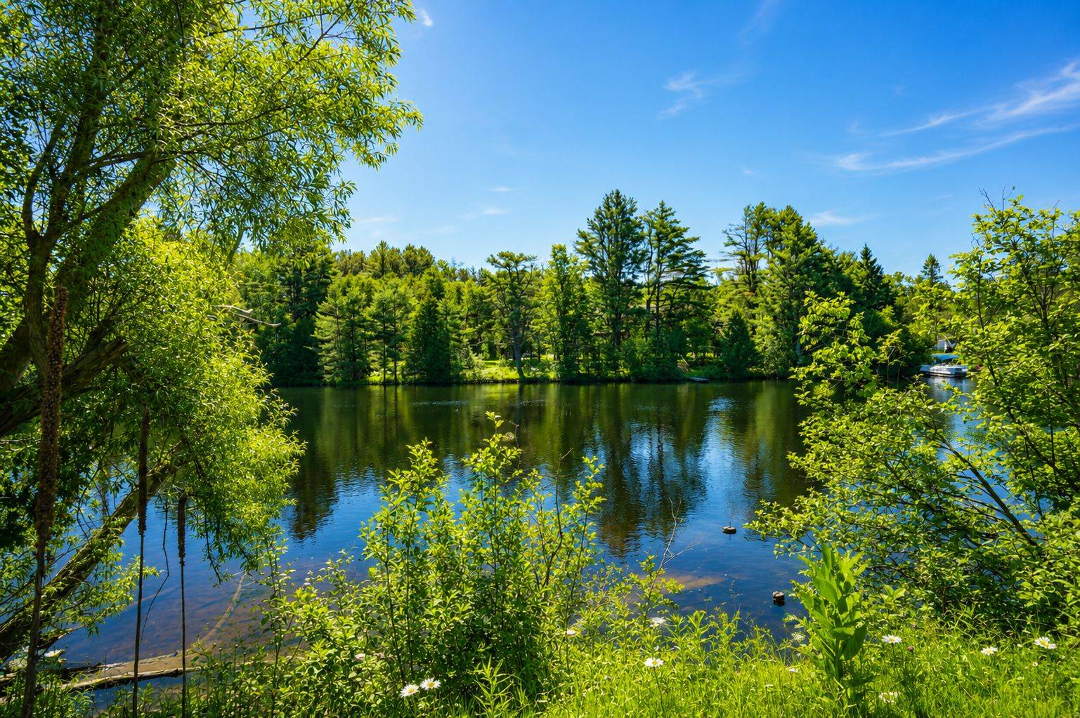 203 Santas Village RD, Bracebridge, ON P1L 1W8