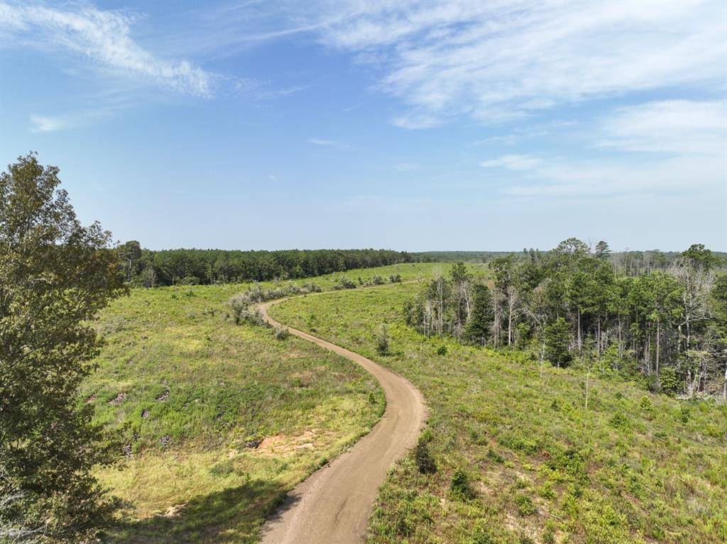 1 County Road 3725, Colmesneil, TX 75938