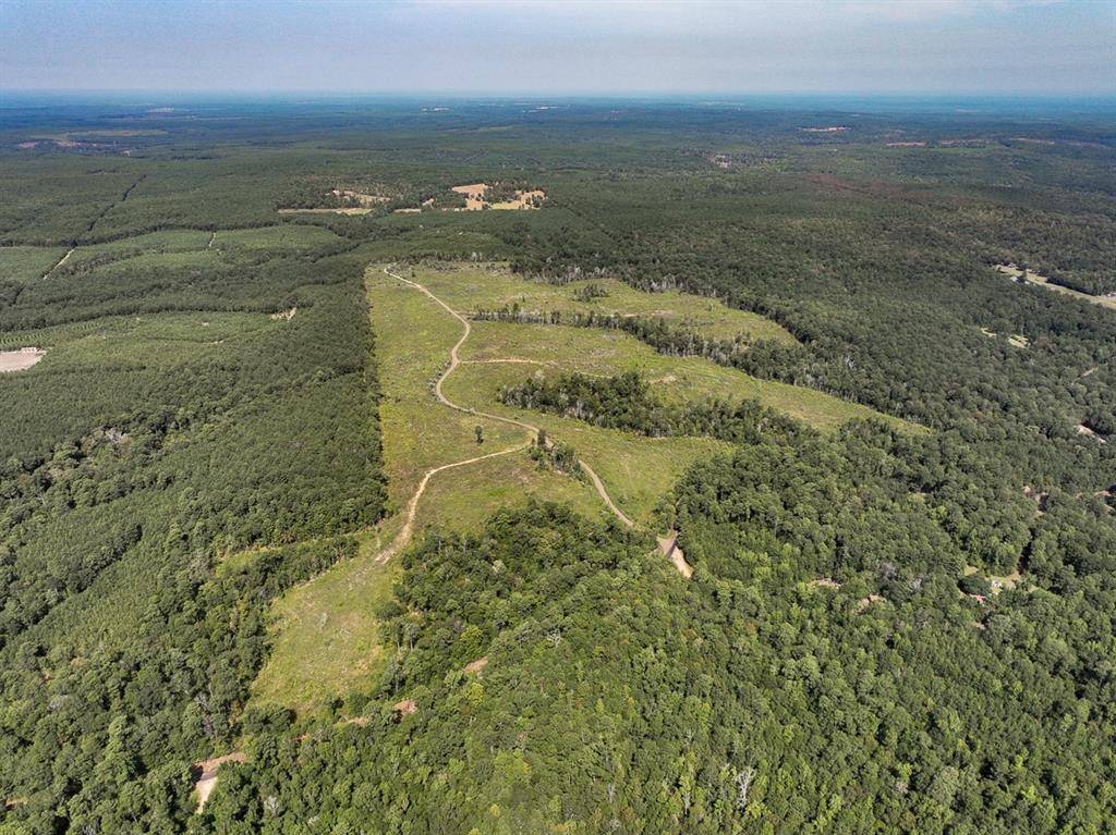 1 County Road 3725, Colmesneil, TX 75938