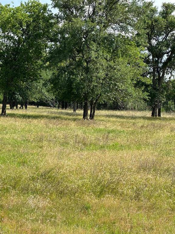 454 HCR 2129 W, Whitney, TX 76692