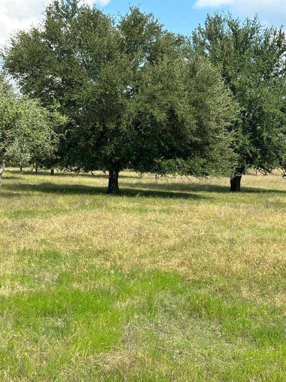 454 HCR 2129 W, Whitney, TX 76692