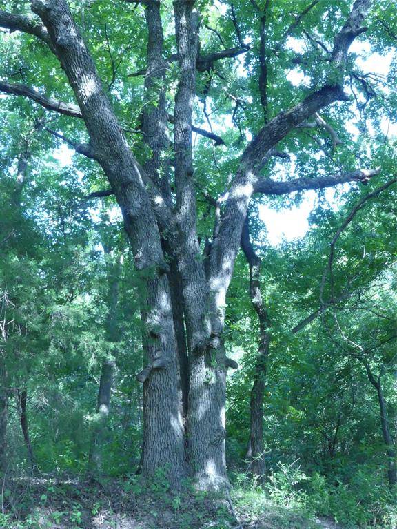 1691 W Alamo Road, Bowie, TX 76230