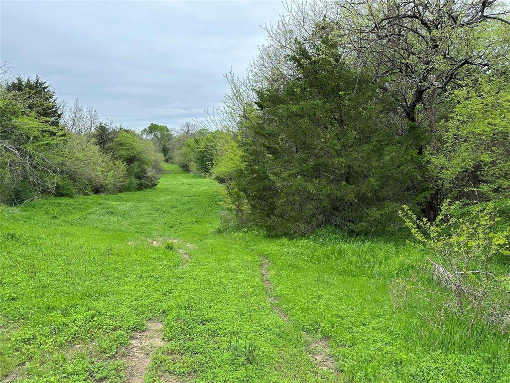 Tract 4 FM 2194, Greenville, TX 75401