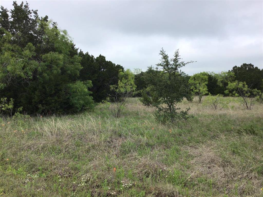 44163 High Crest Drive, Whitney, TX 76692