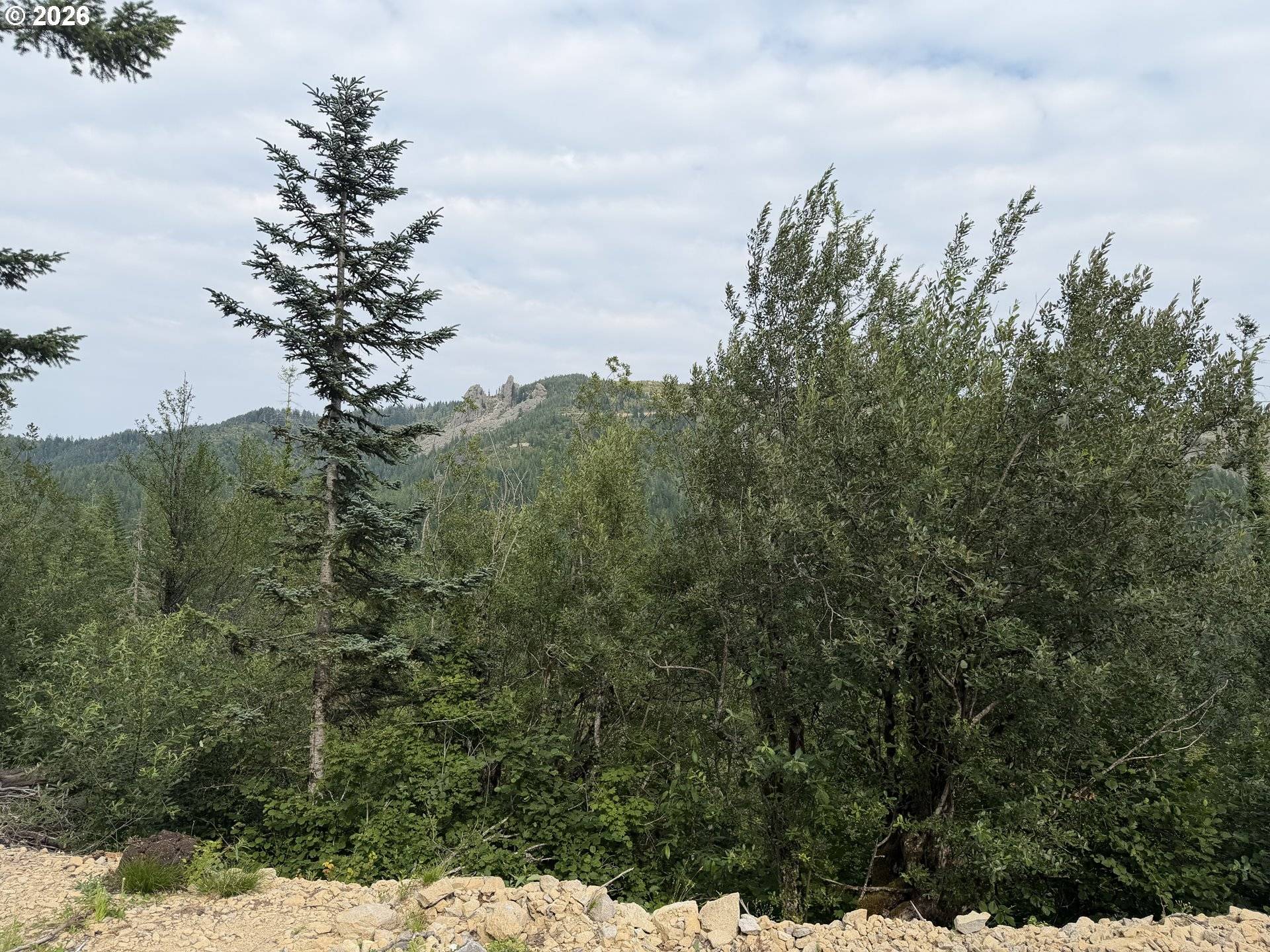 0 SNAG MOUNTAIN RD #112, Washougal, WA 98671