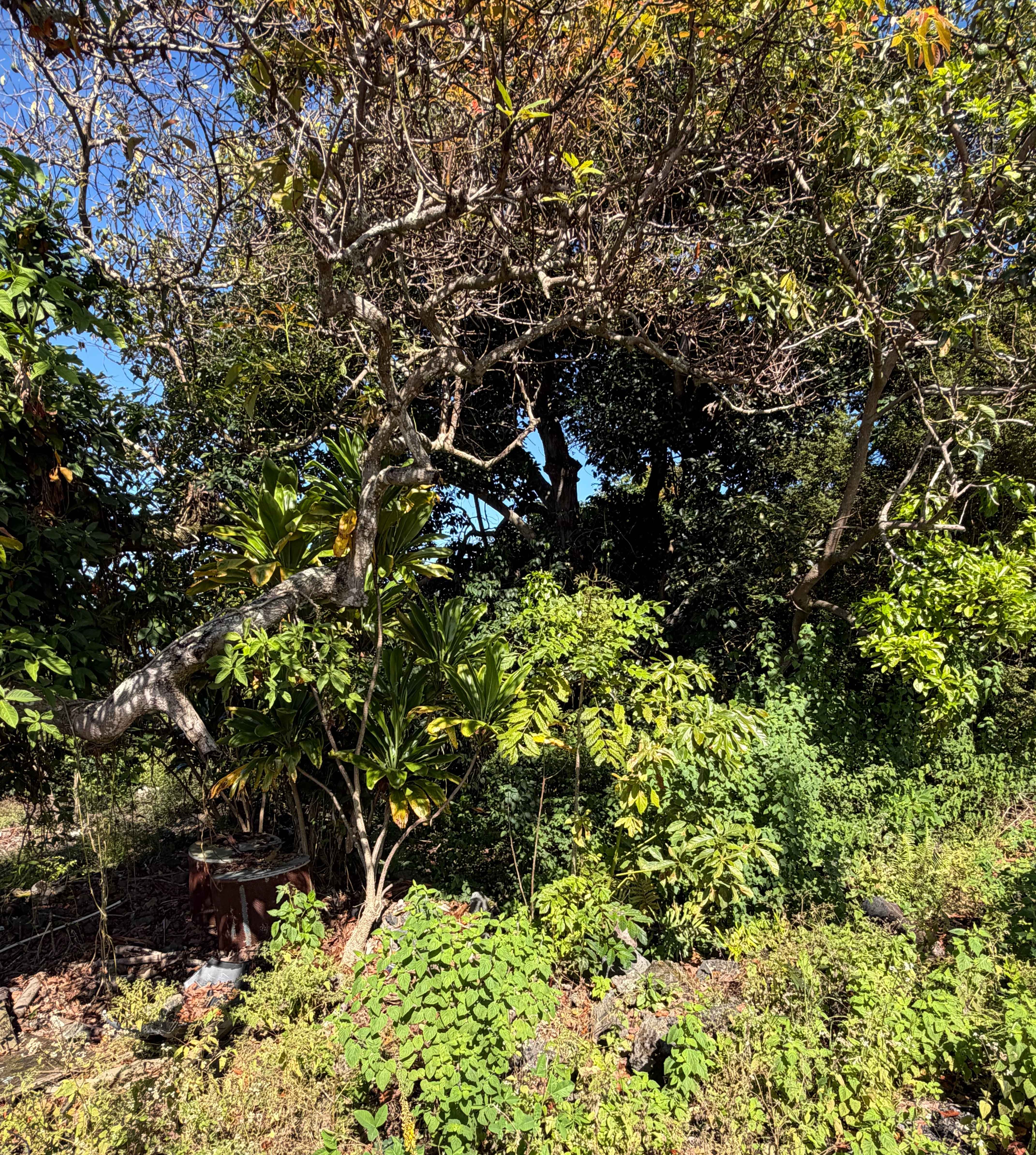 75-5222 MAMALAHOA HIGHWAY, Kailua Kona, HI 96740