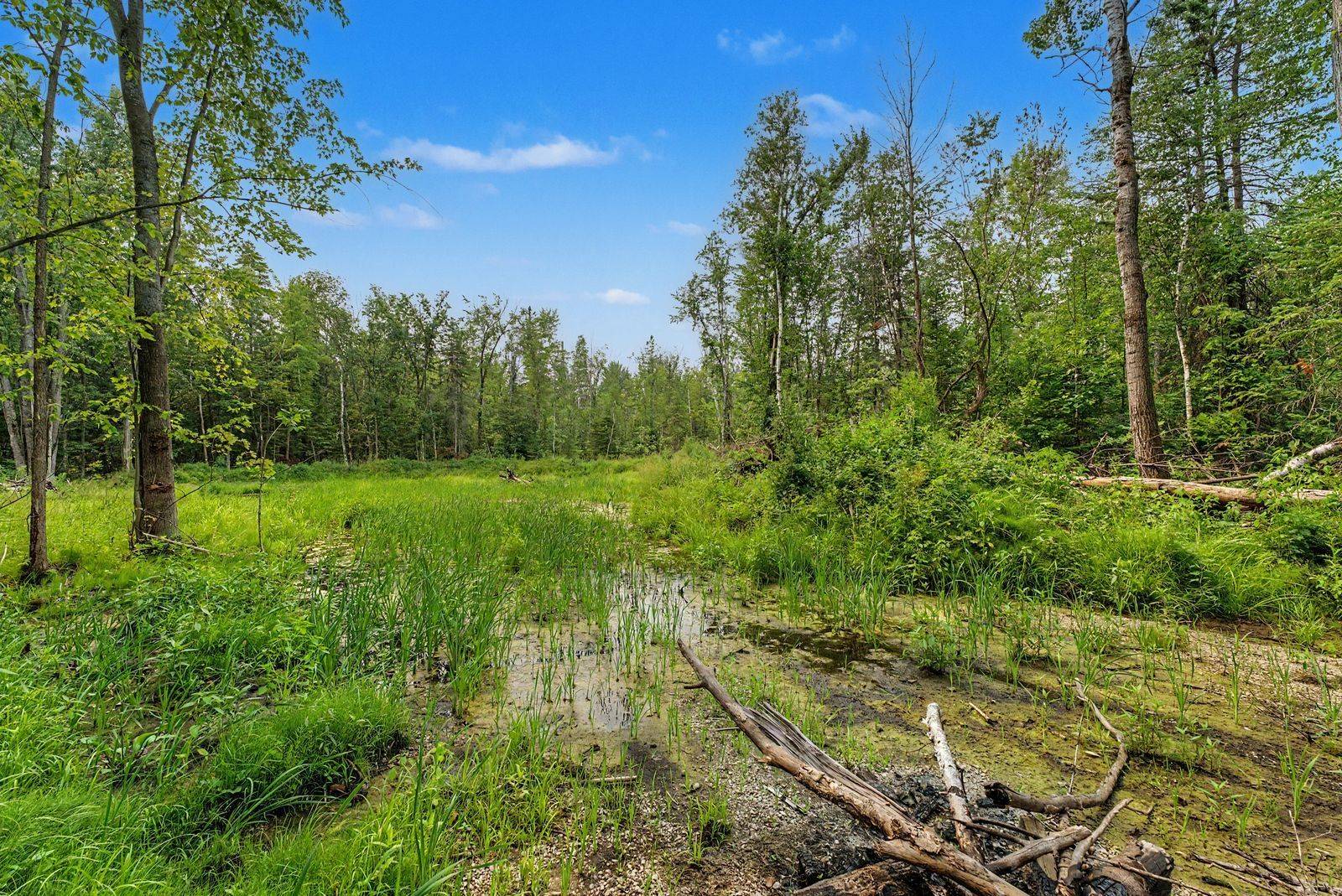 6905 County Road 21 N/A, Essa, ON L9R 1V2