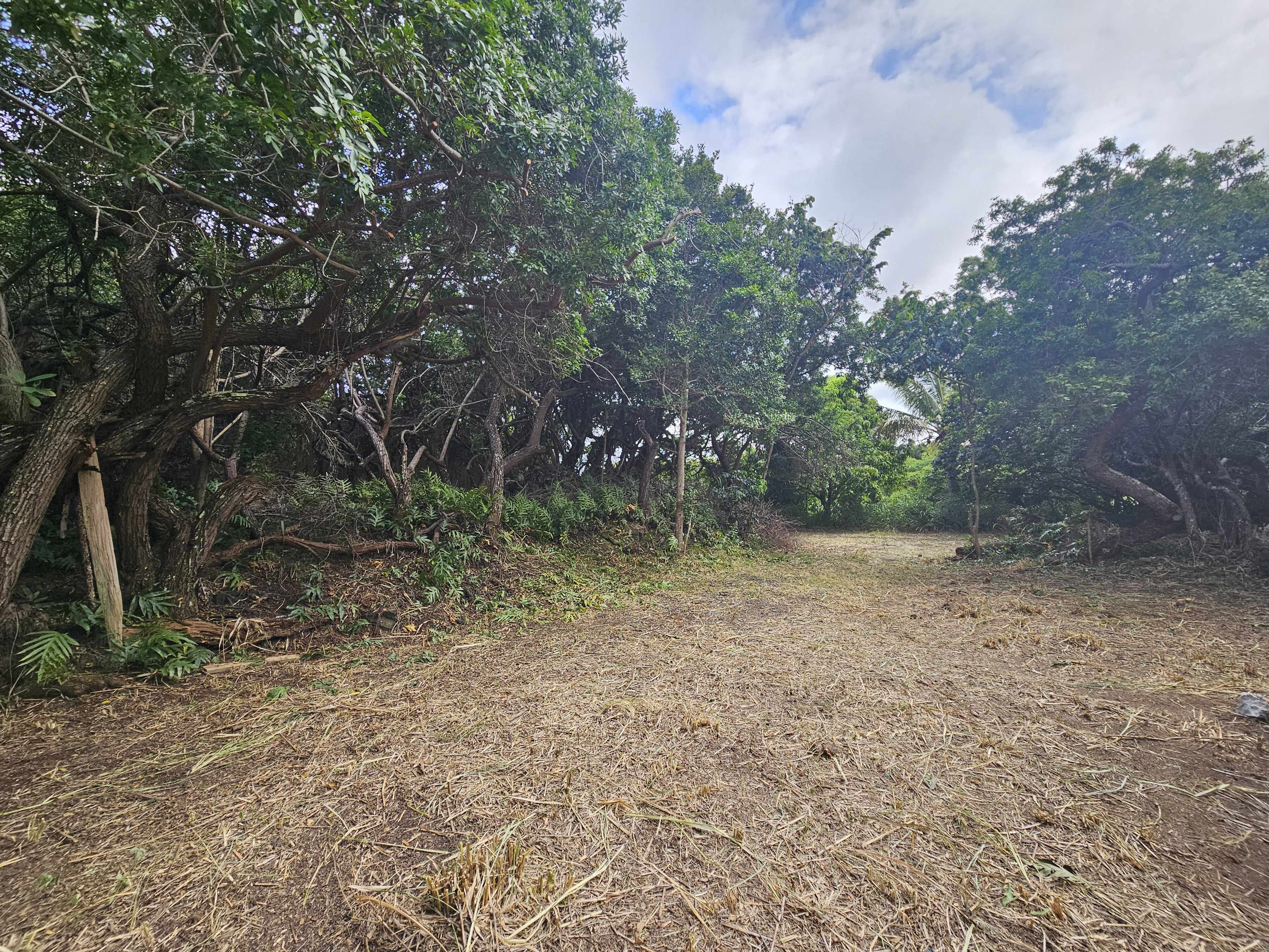 94-6377 PALAOA RD, Naalehu, HI 96772