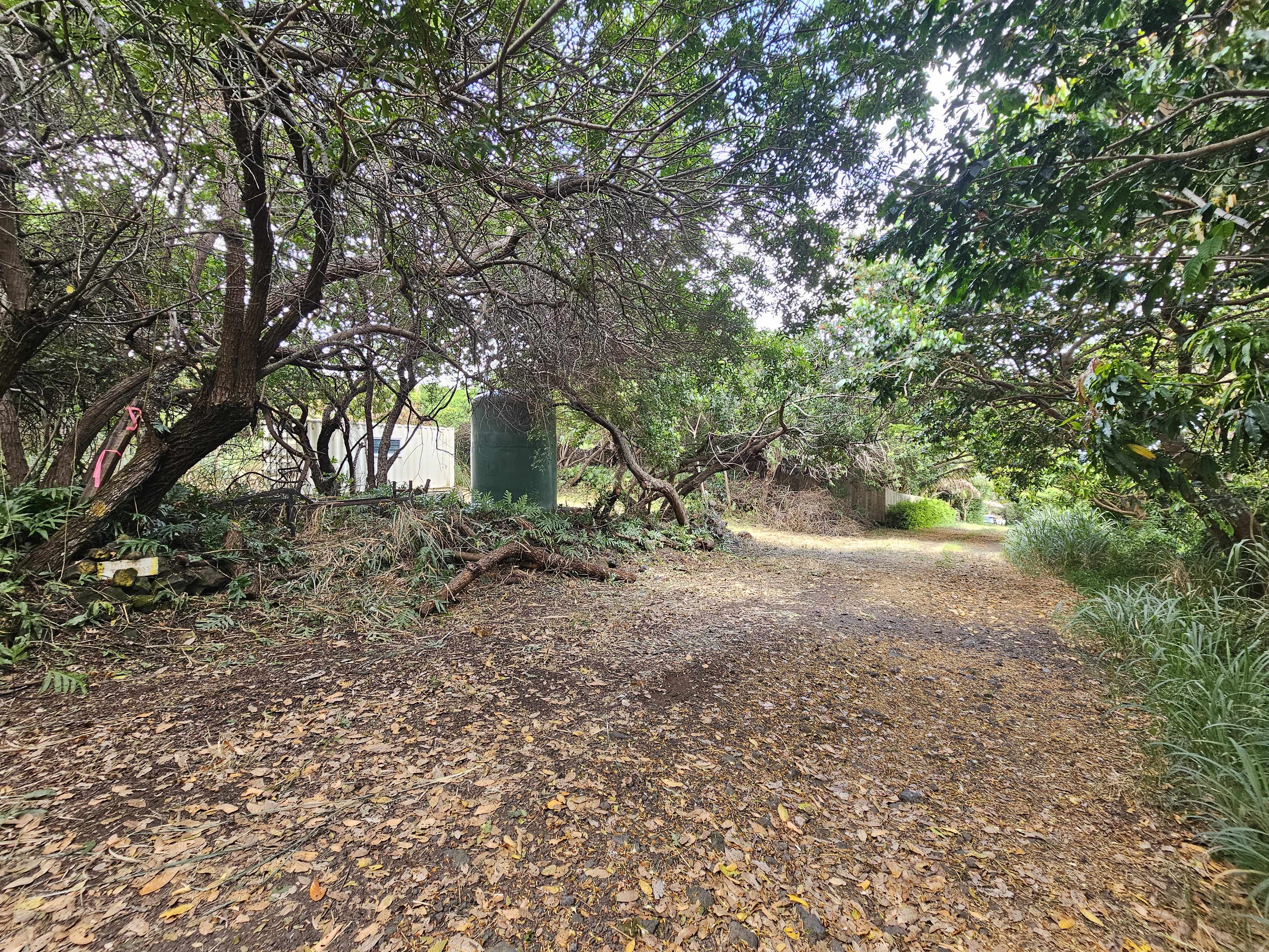 94-6377 PALAOA RD, Naalehu, HI 96772