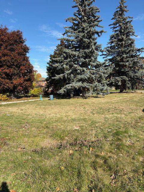 281 Barrie ST, Bradford West Gwillimbury, ON L3Z 2Z7