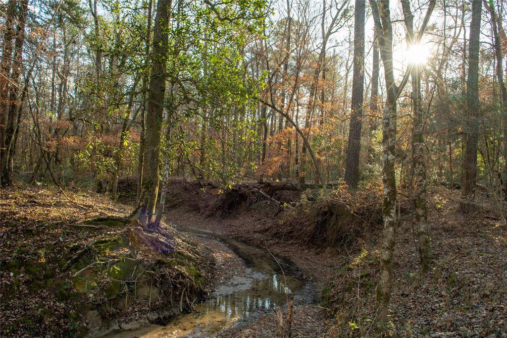 0 Chatfield Road, Livingston, TX 77351