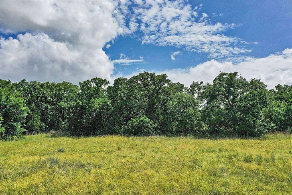 157 Acres Nash Road, Jacksboro, TX 76458