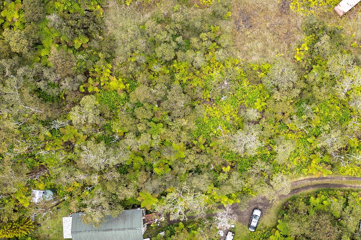 NAHELENANI ST, Volcano, HI 96785