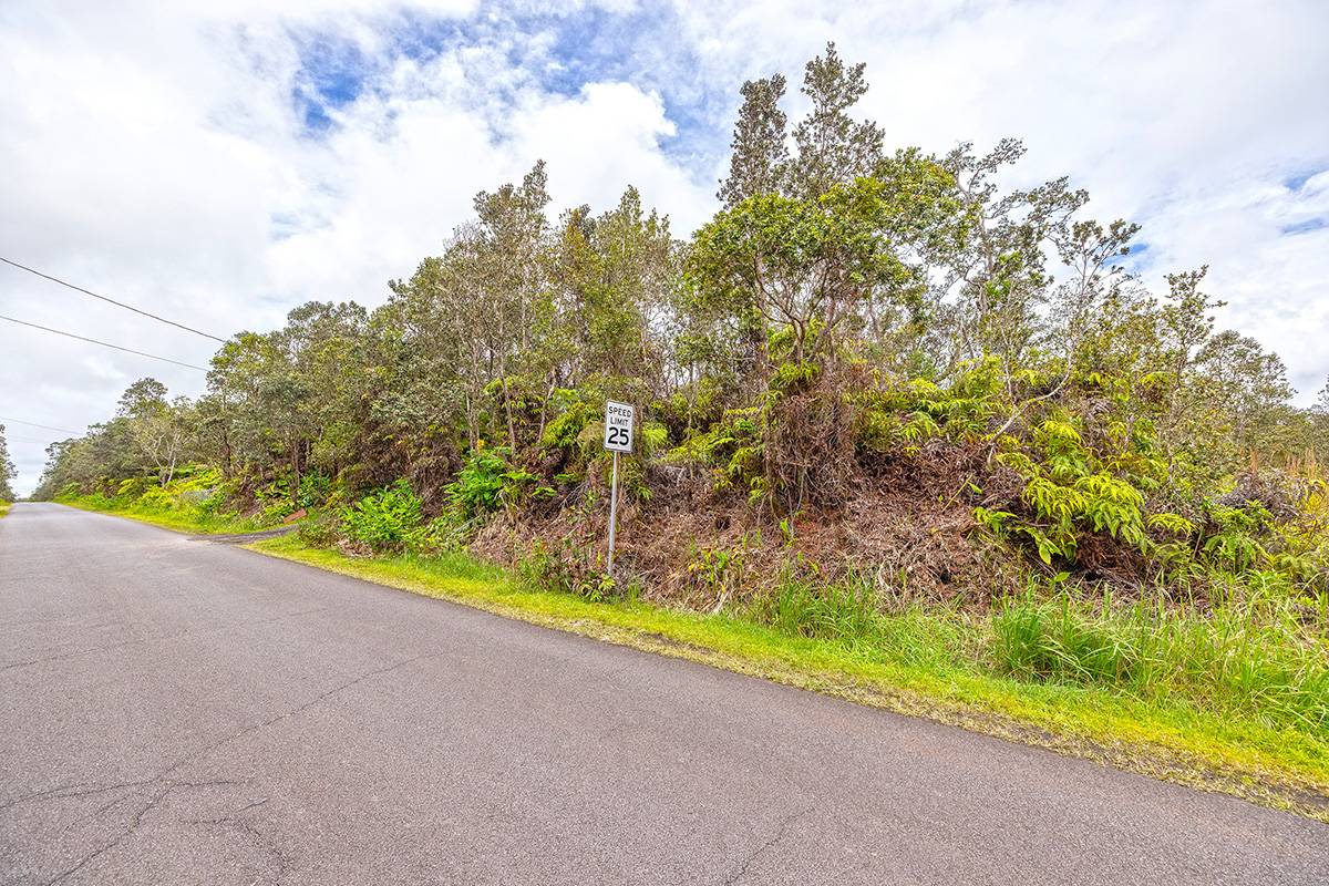 NAHELENANI ST, Volcano, HI 96785