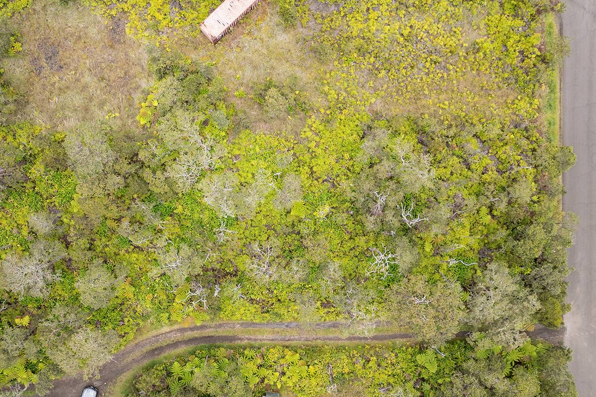 NAHELENANI ST, Volcano, HI 96785