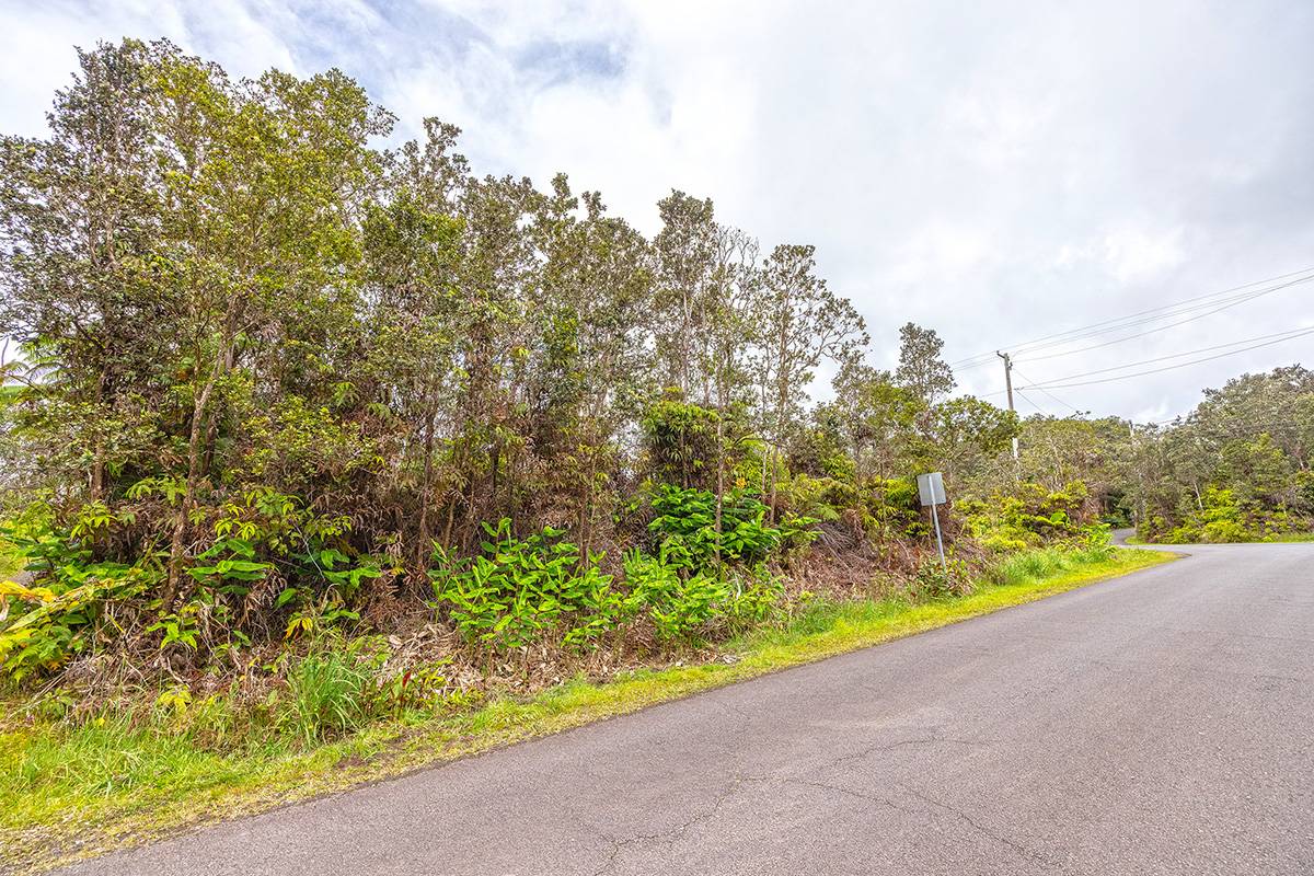 NAHELENANI ST, Volcano, HI 96785