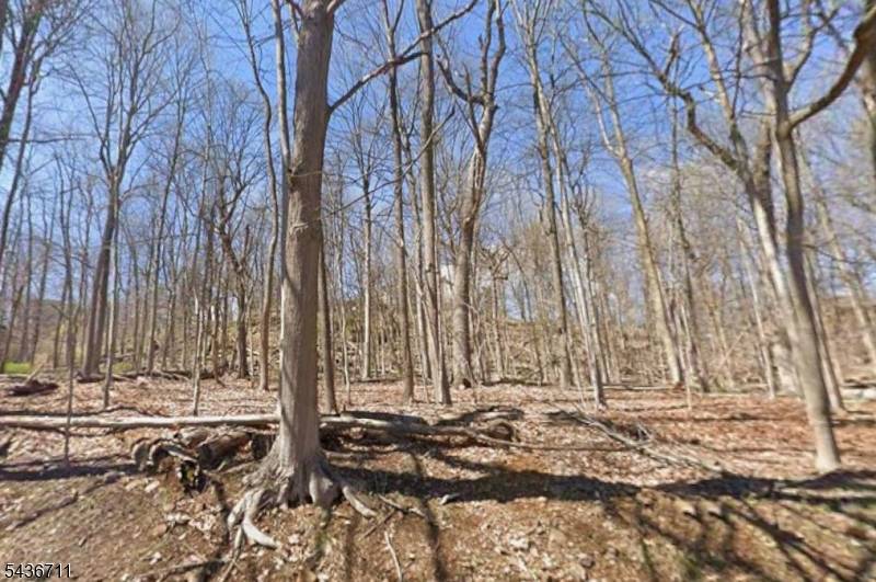 845 Johnston Dr, Watchung Boro, NJ 07069